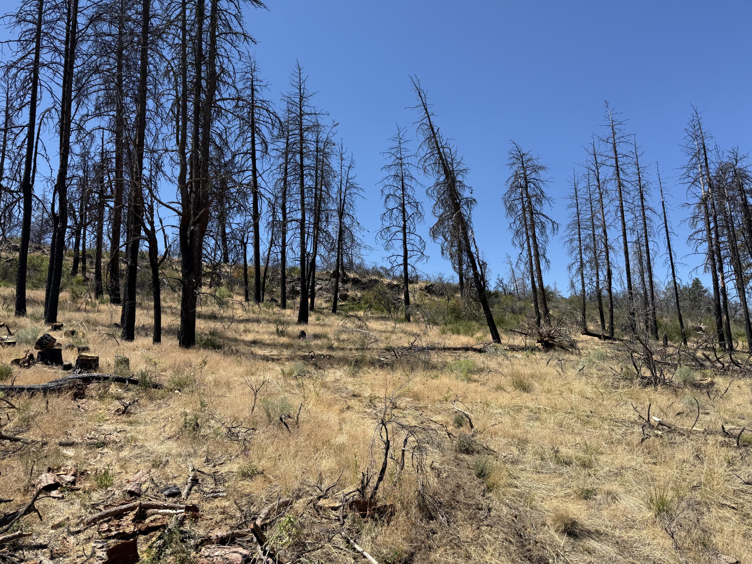 Klamath Falls Forest Estates Hwy 66 Unit Plat 4 - Land