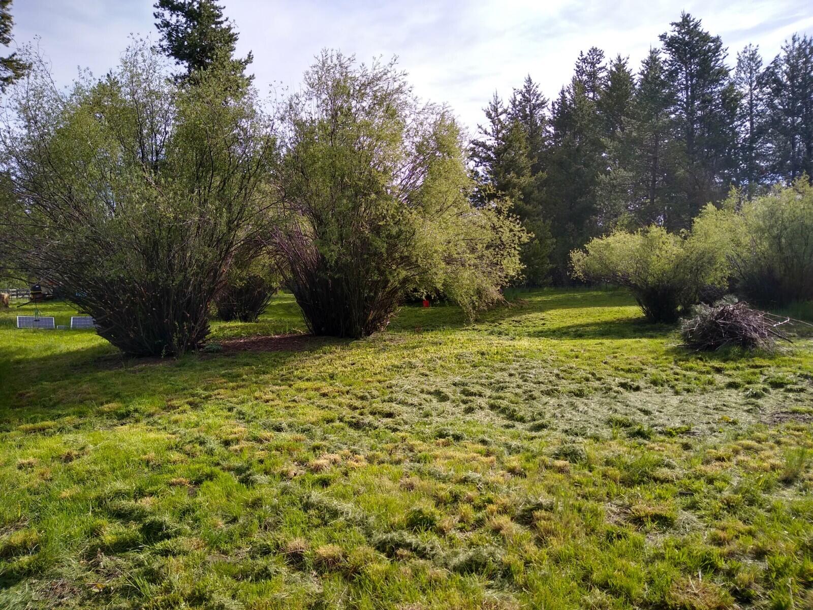 Deschutes River Acre - Land