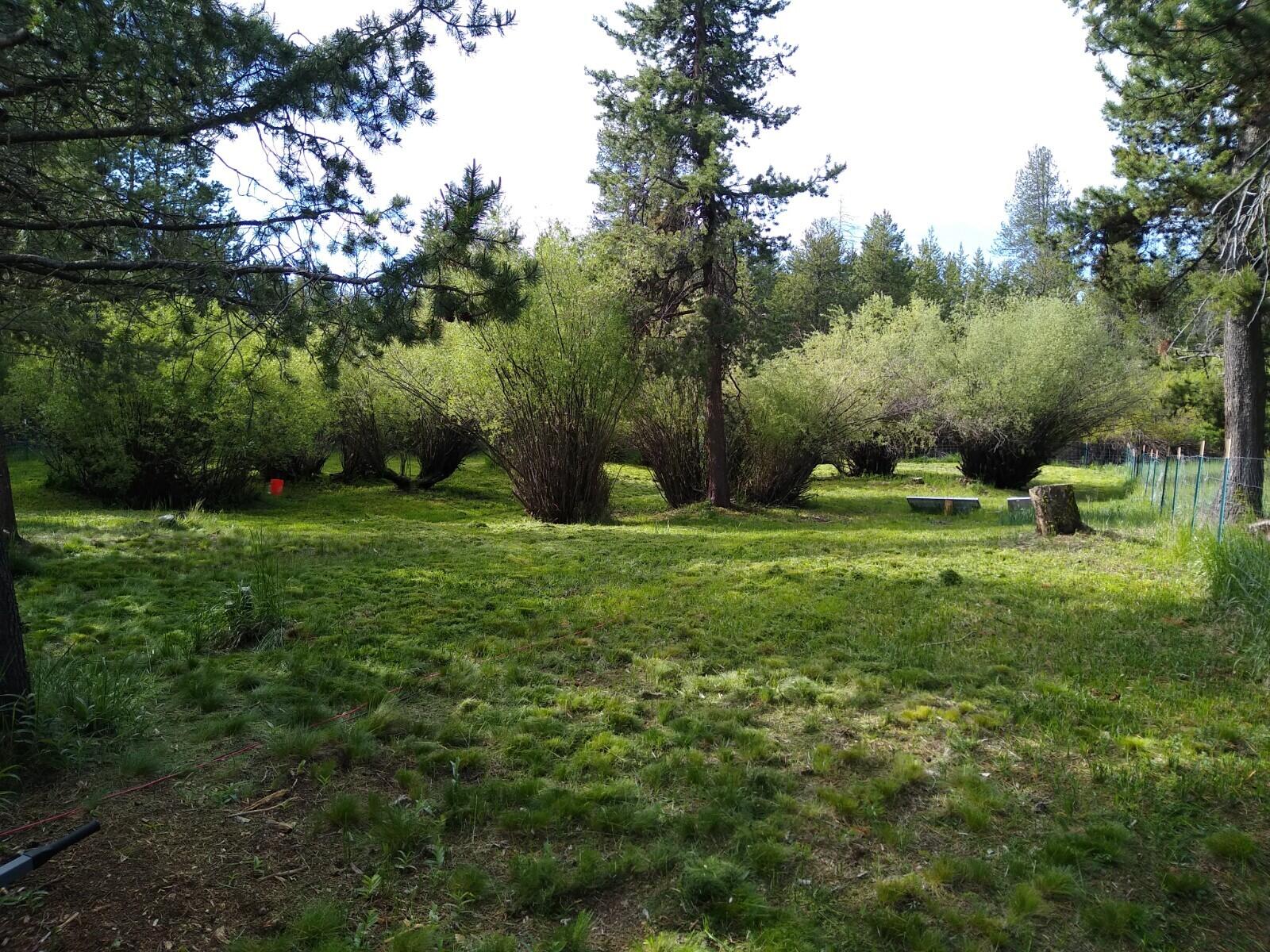 Deschutes River Acre - Land