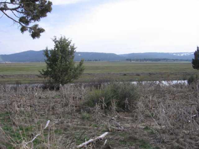 Nimrod River Park - Land