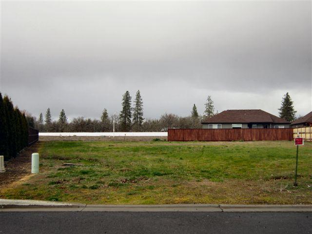Eagle Point Golf Course Community. Build your dream home! Great level .30-acre lot with beautiful homes on each side.