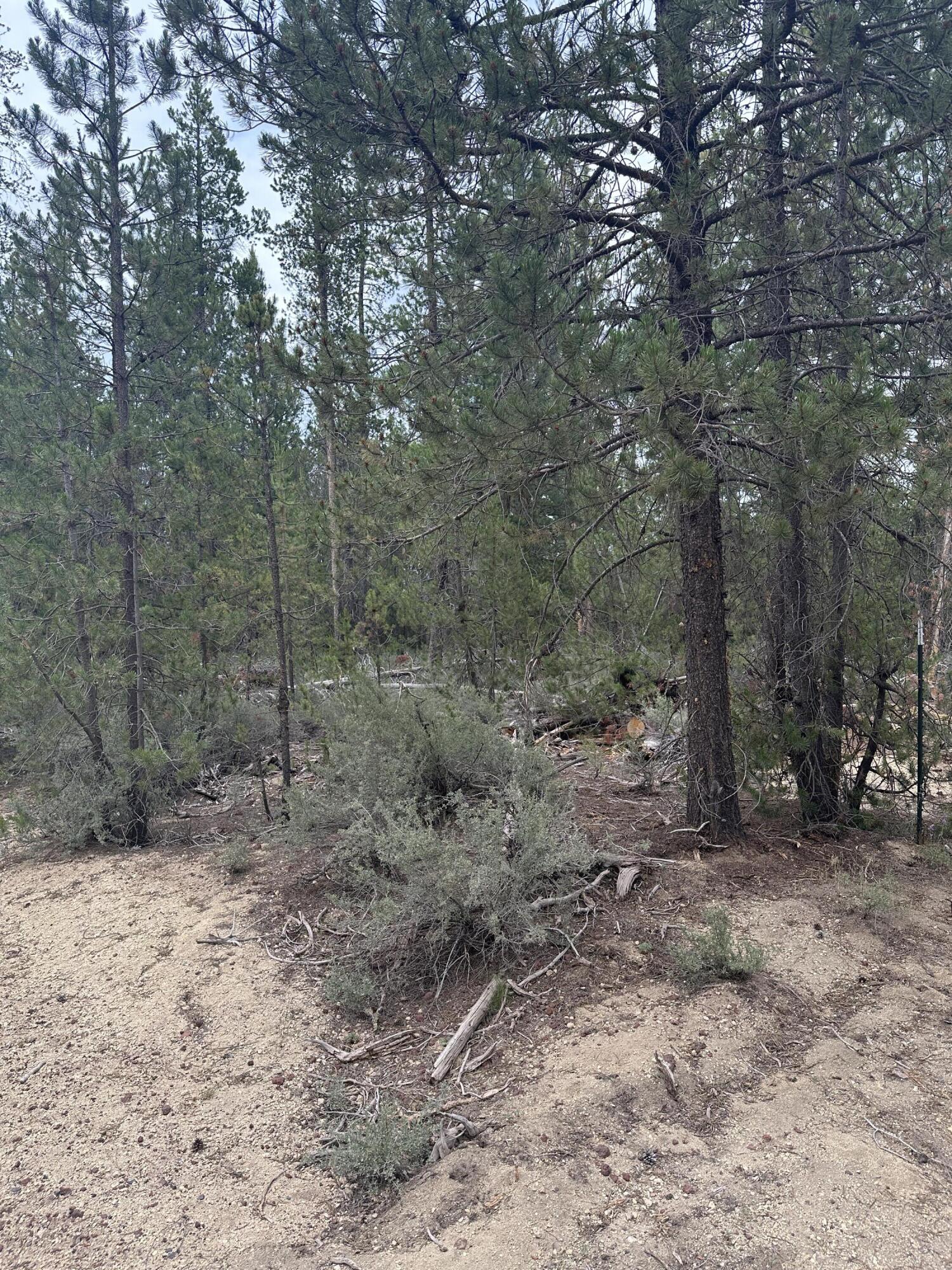 Roberts' River Acres - Land