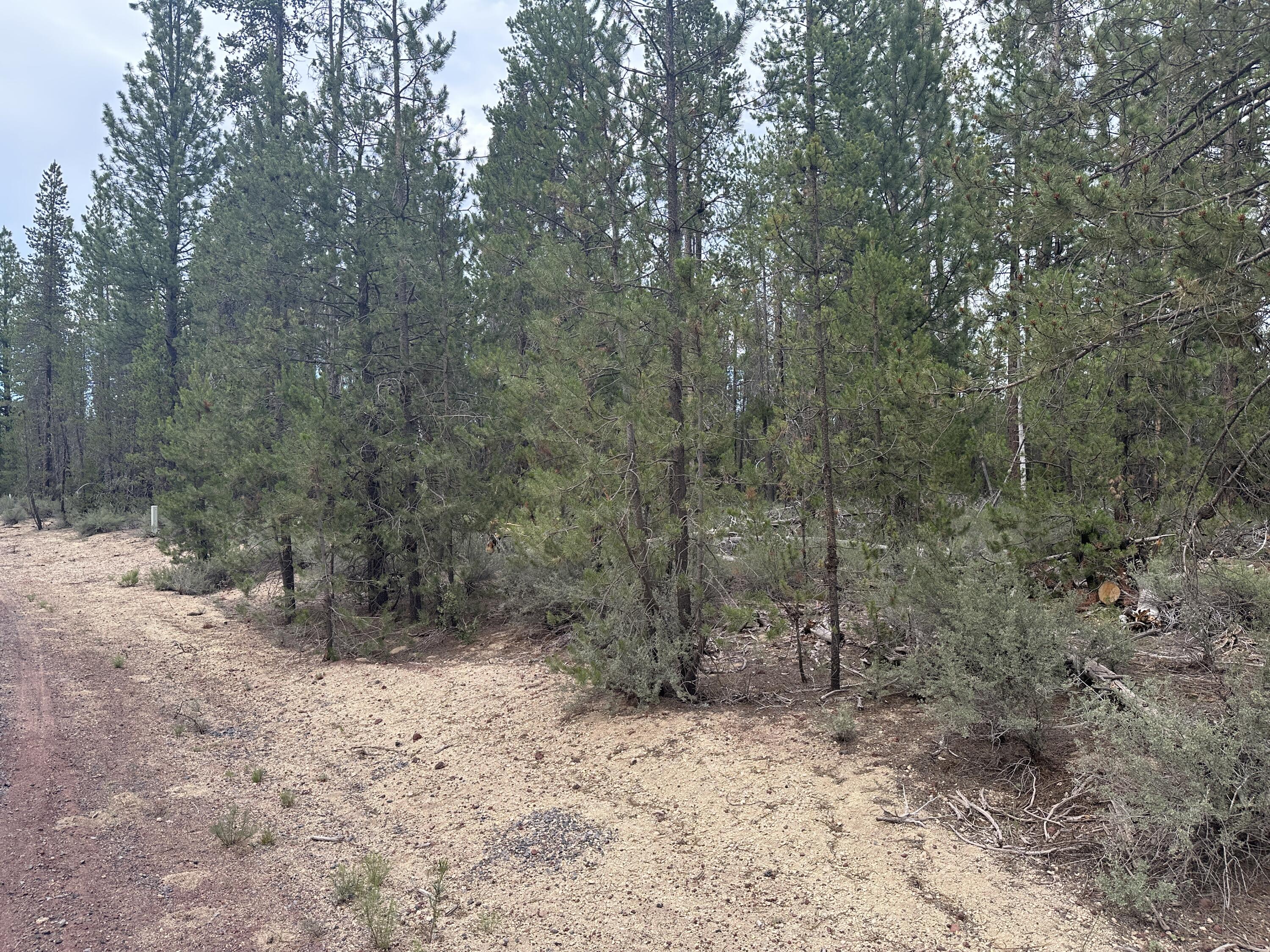 Roberts' River Acres - Land