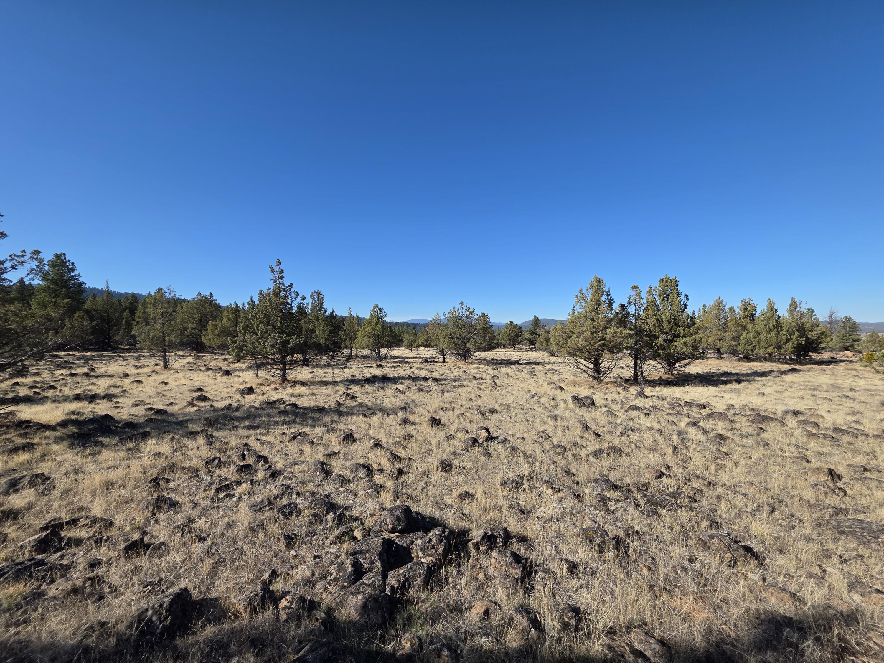 Cedar Trails - Land