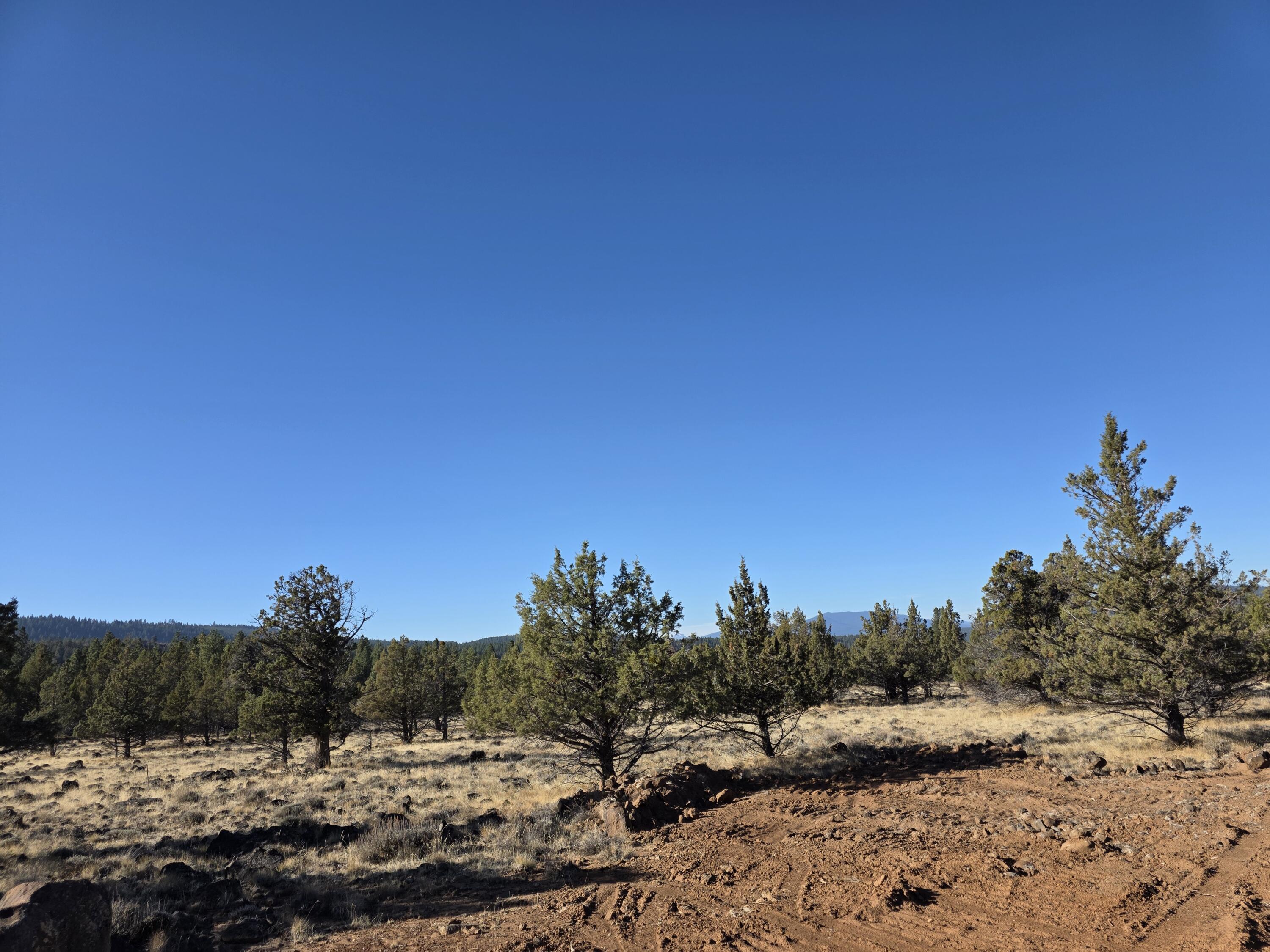 Cedar Trails - Land