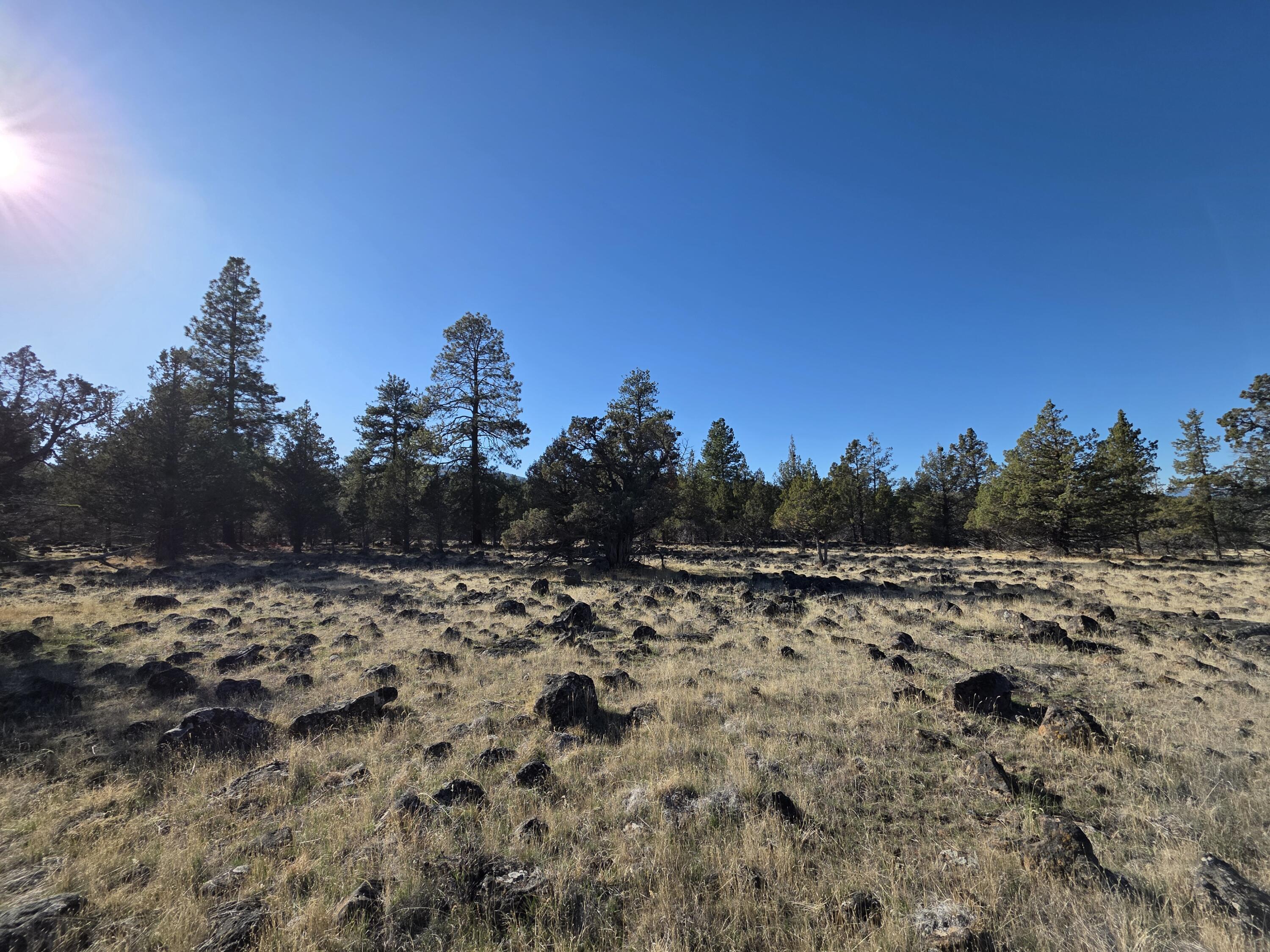 Cedar Trails - Land
