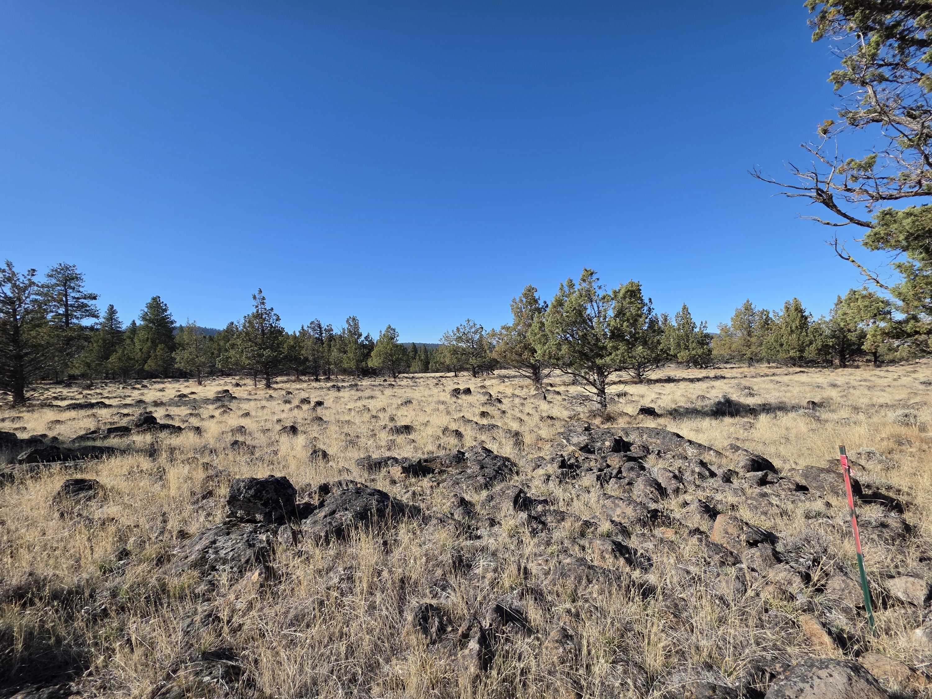 Build your dream home on this private 10 acre cedar trails lot. This lot is flat, has plenty of trees to provide privacy, and features beautiful views of the surrounding mountains. Don't miss this rare opportunity to own land in the lovely Keno Oregon.