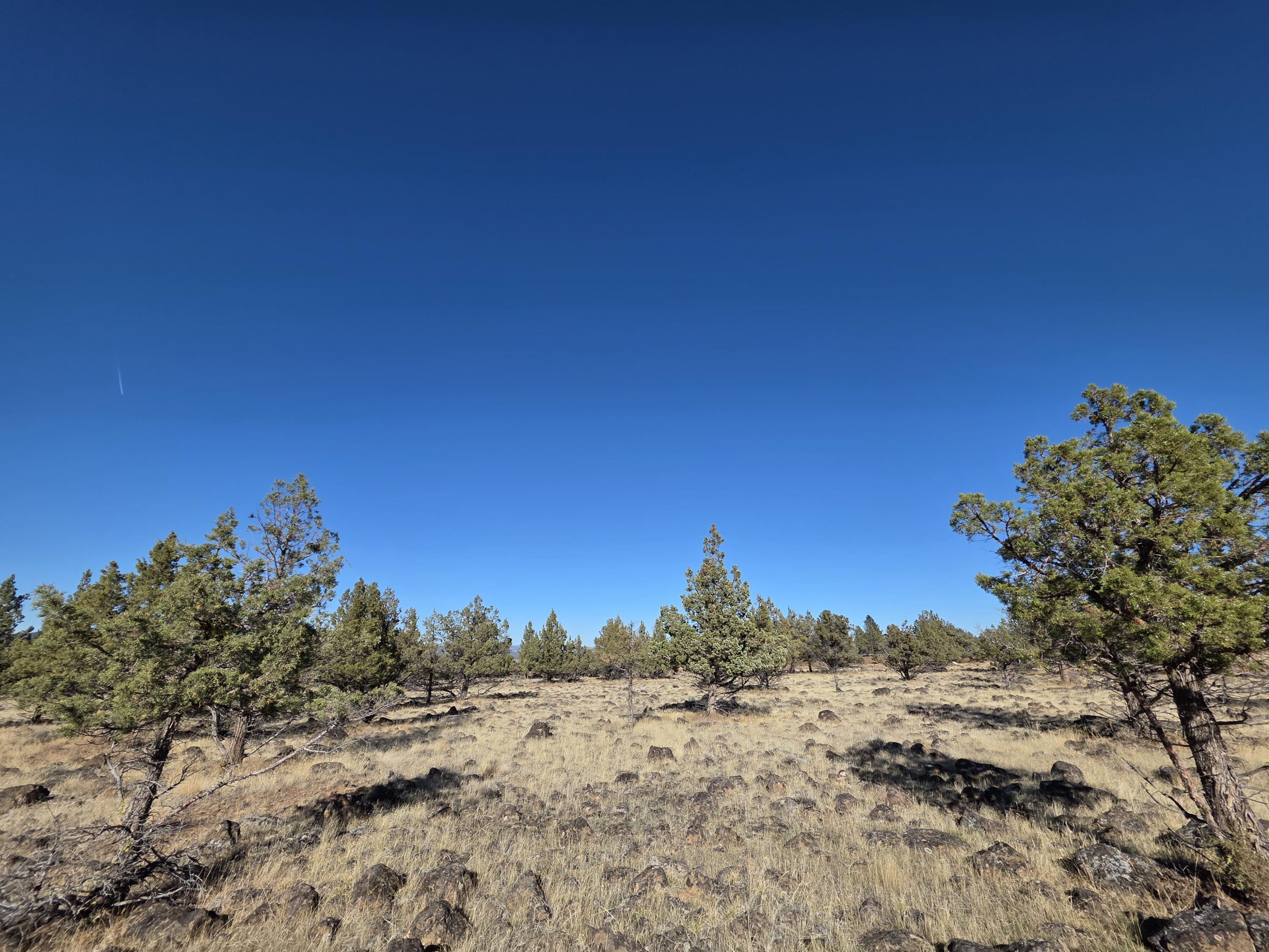 Cedar Trails - Land