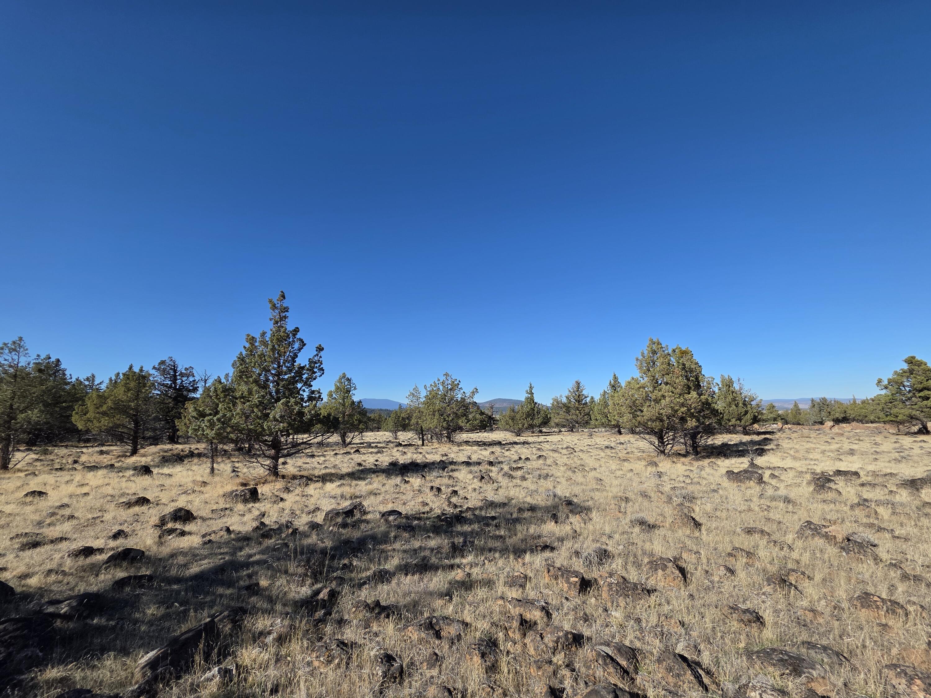 Cedar Trails - Land