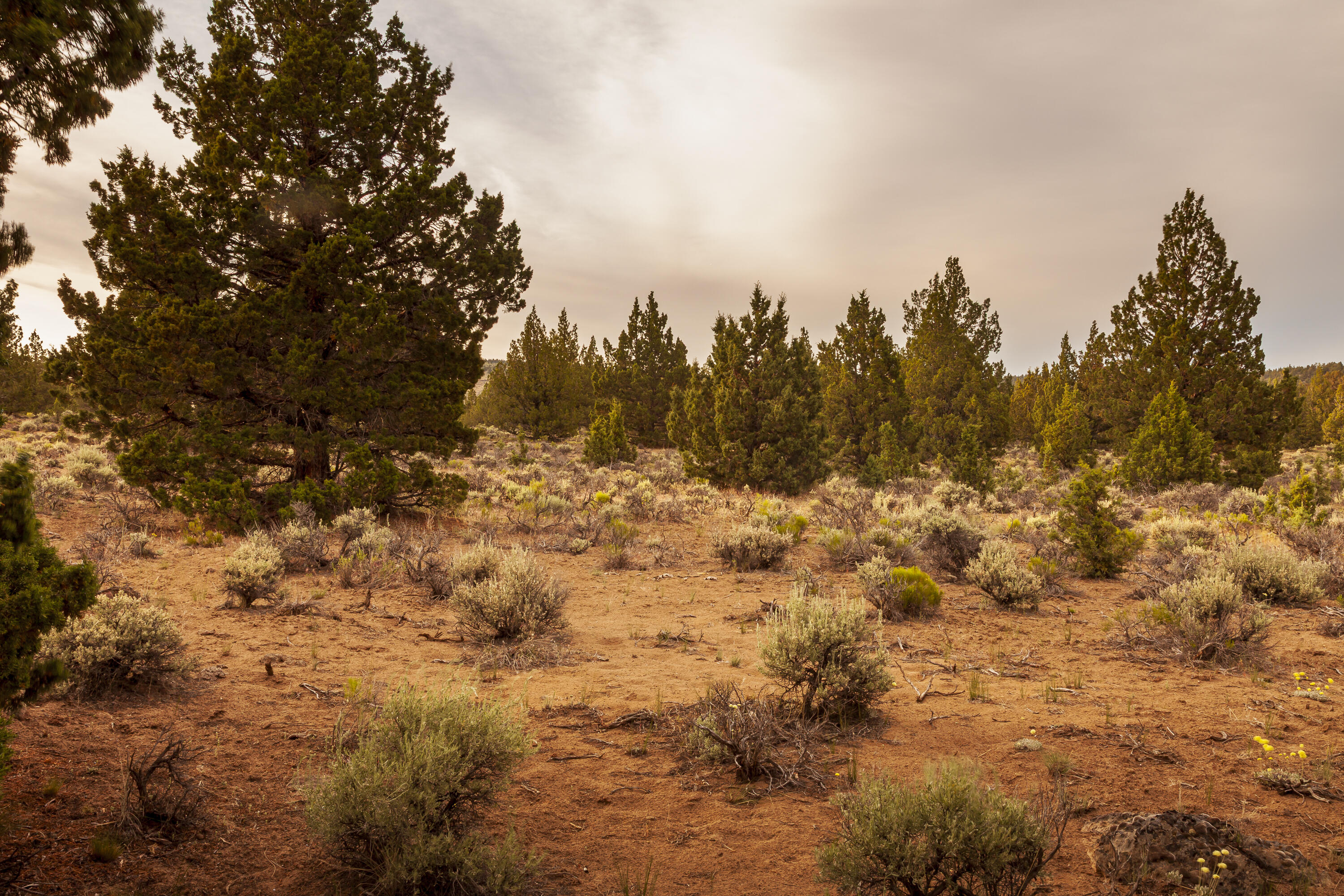 Golden View Ranch - Land