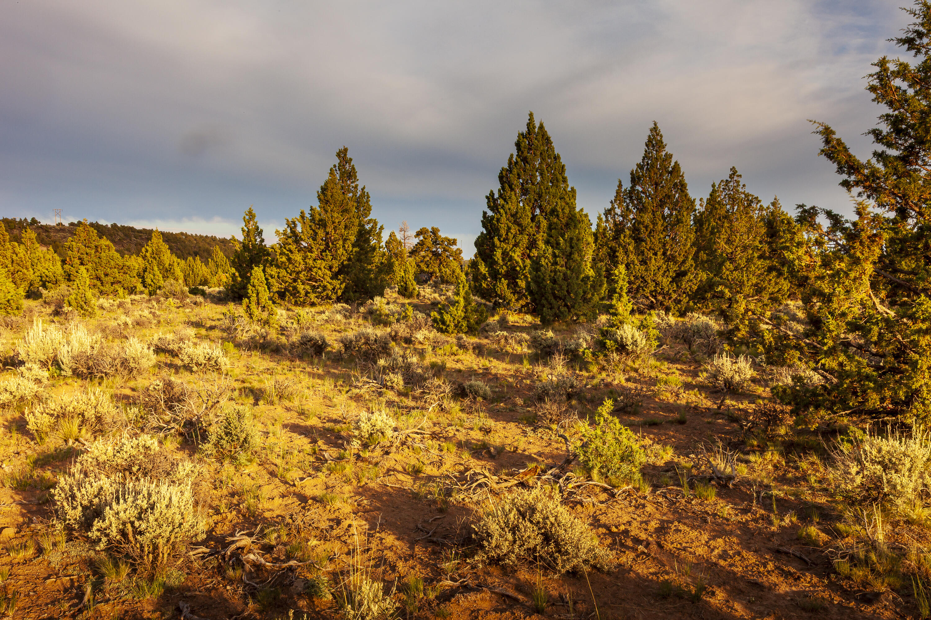 Golden View Ranch - Land