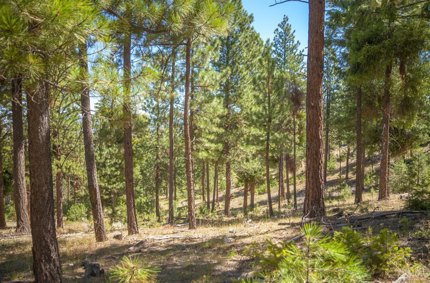 Prineville - Land
