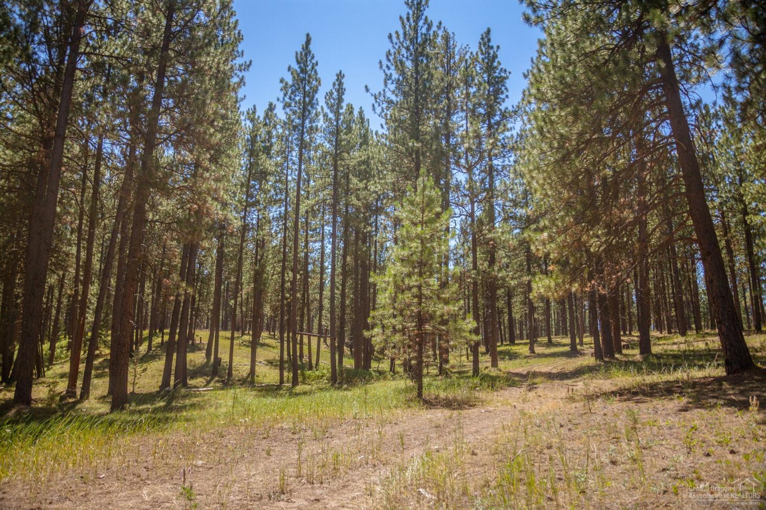 Prineville - Land