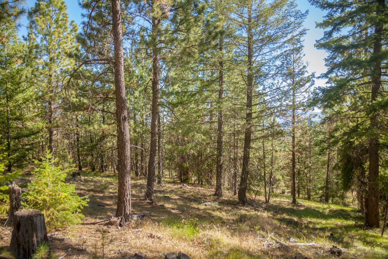 Prineville - Land