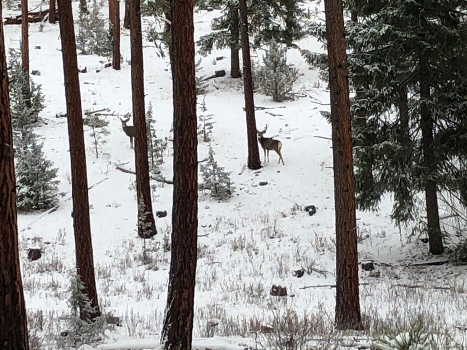 Prineville - Land