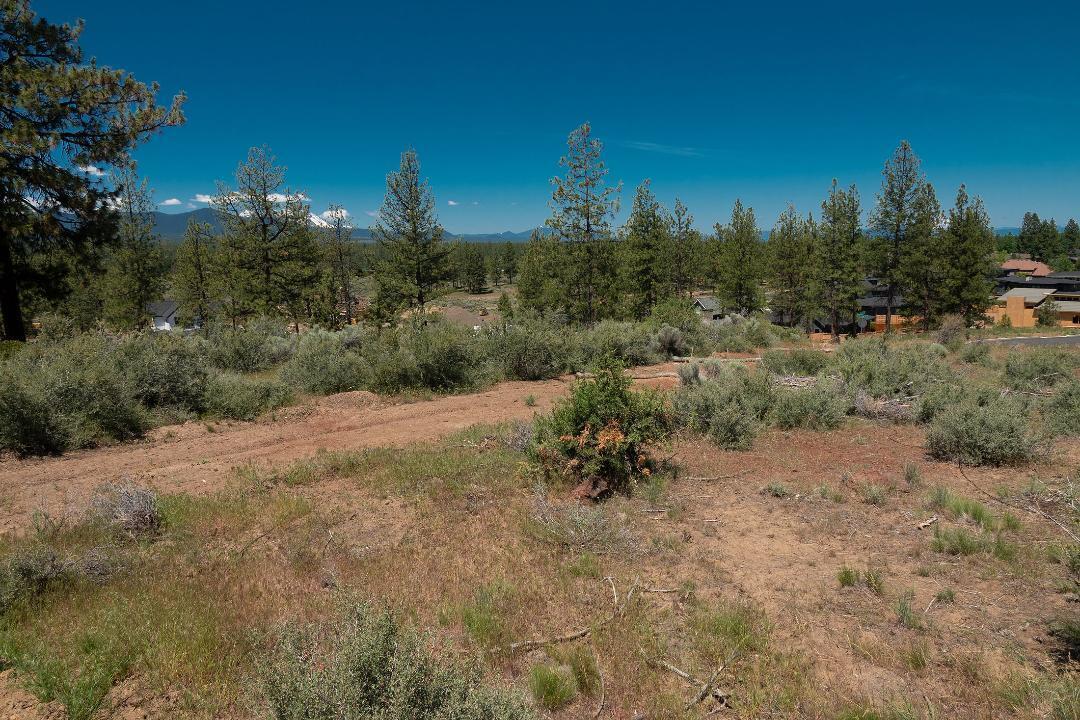 Shevlin West - Land