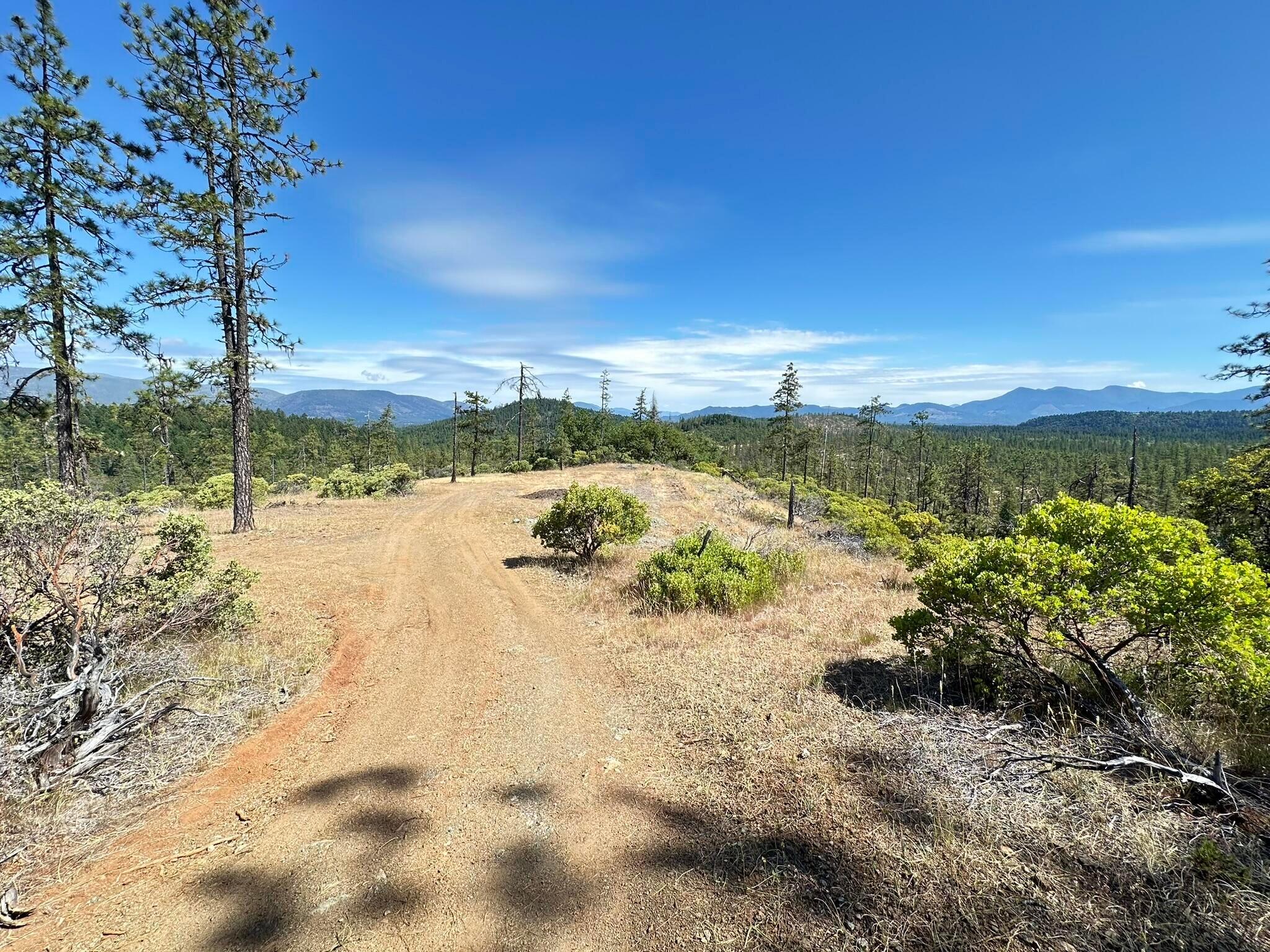 This 32.86 acre property is beautifully treed with plenty of open space.  This rare acreage features lovely topography and views of the surrounding mountains.  Zoned Serpentine, there is potential for resource and/or residential uses.  Serpentine zoning allows for a multitude of different uses.  Potential for a subdivision as Serpentine zoning has a minimum lot size of 5 acres when used residentially.  Owner may carry.  Listing agent is related to selling company's manager.  All information is deemed reliable, but not verified or guaranteed.