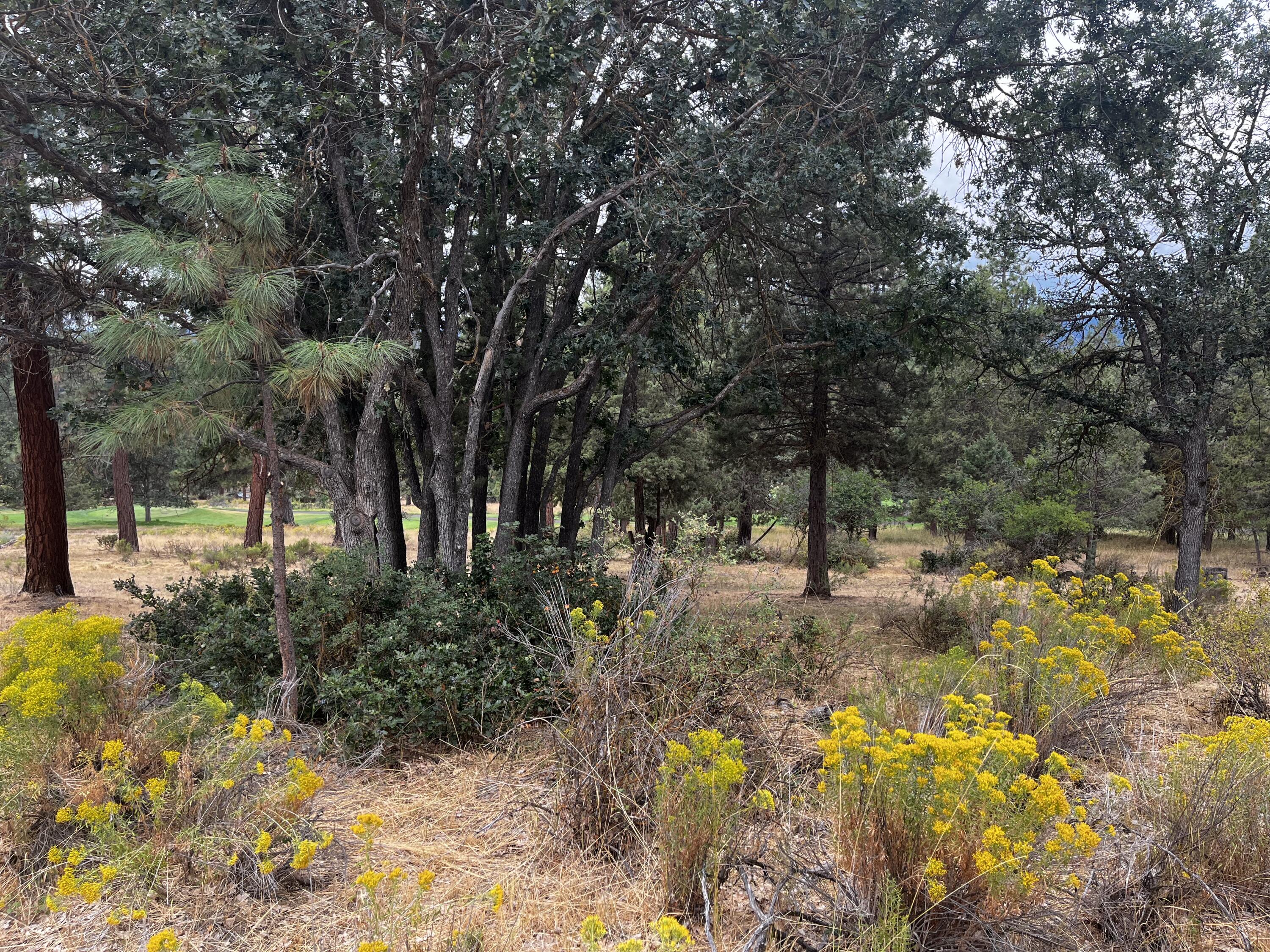 Running YResort - Land