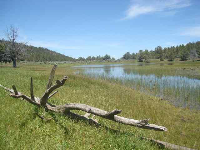 Merrill - Land