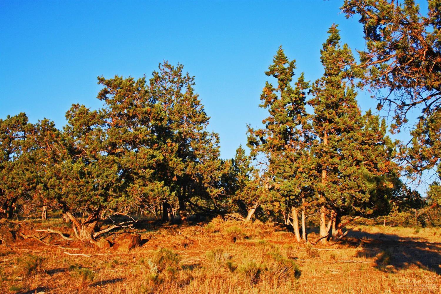 Breese Ranch - Land
