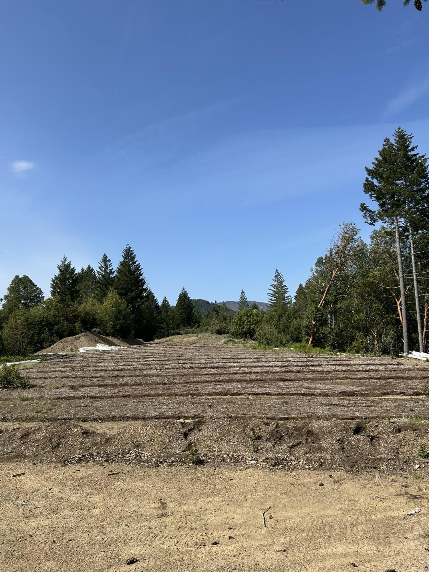 This 20 acre property is beautifully treed and offers lovely mountain views.  Eight GPM shared well.  Road and pad are in place.  Owner may carry.  Listing agent is related to selling company's manager.  All information is deemed accurate, but not verified or guaranteed.