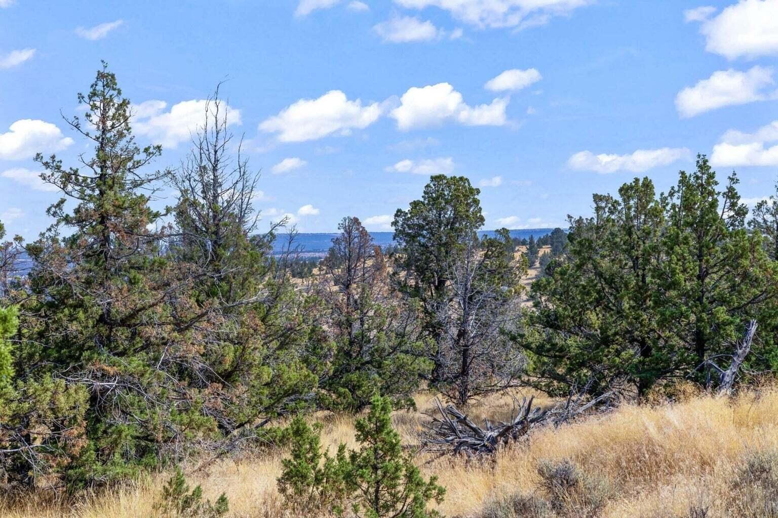Prineville Lake Acres 1 - Land