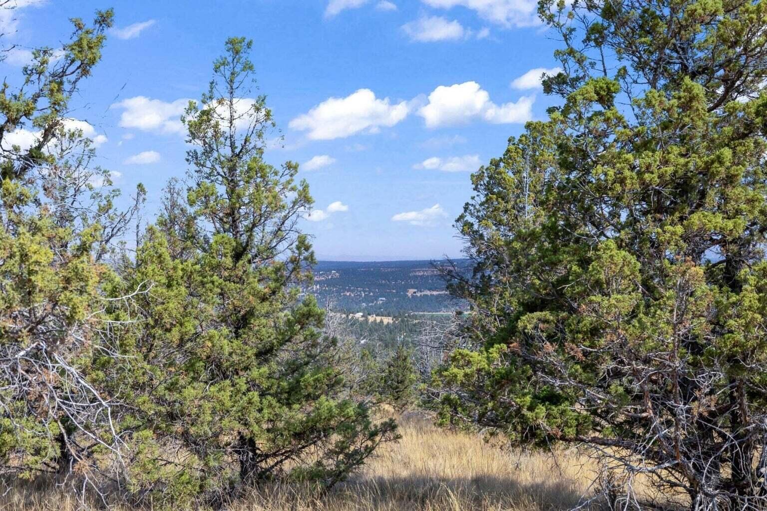 Discover your dream escape on this pristine 1.86 acre residential lot, boasting breathtaking panoramic views. Located just 10 miles from Prineville, this serene property offers the perfect blend of tranquility and convenience. Adventure awaits only 20 minutes away at Prineville Reservoir, where you can enjoy boating, fishing, and a variety of recreational activities. Only a short distance to the Crooked River Highway, a gateway to numerous hiking trails and campgrounds! Embrace the beauty of the great outdoors while staying close to essential amenities and the vibrant community of Prineville. Create your ideal retreat in this serene setting, surrounded by everything to love that Central Oregon has to offer.