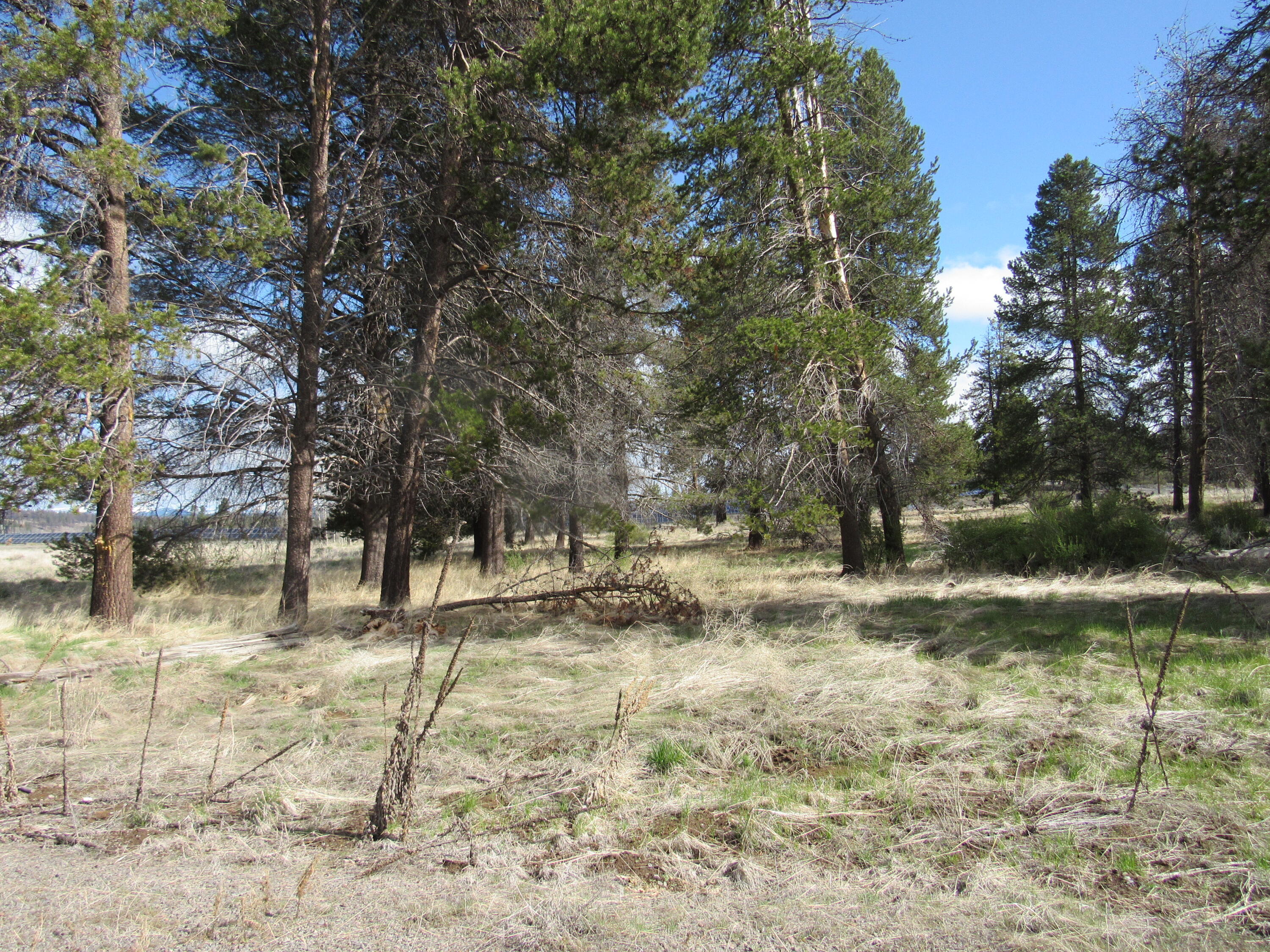 Pine Ridge Ranches gated community along the famous Williamson River. This 5-acre parcel is a perfect place to build your dream home with access to the river through a common area. County septic approval in place.  Great for fly fishing and kayaking!  Bring your animals and enjoy the rural lifestyle.  Seller is a licensed broker in the state of Oregon.