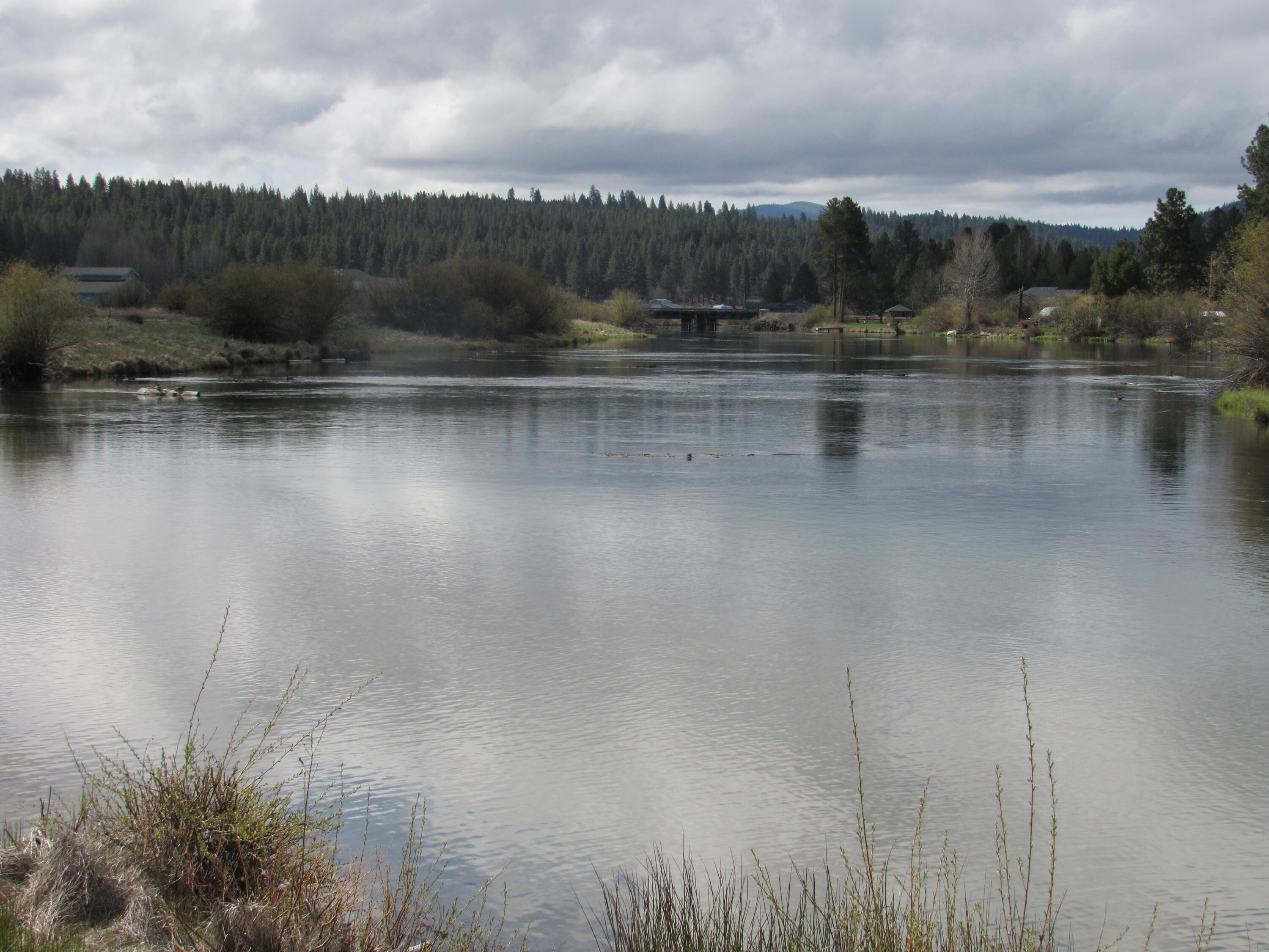 Pine Ridge Ranches - Land
