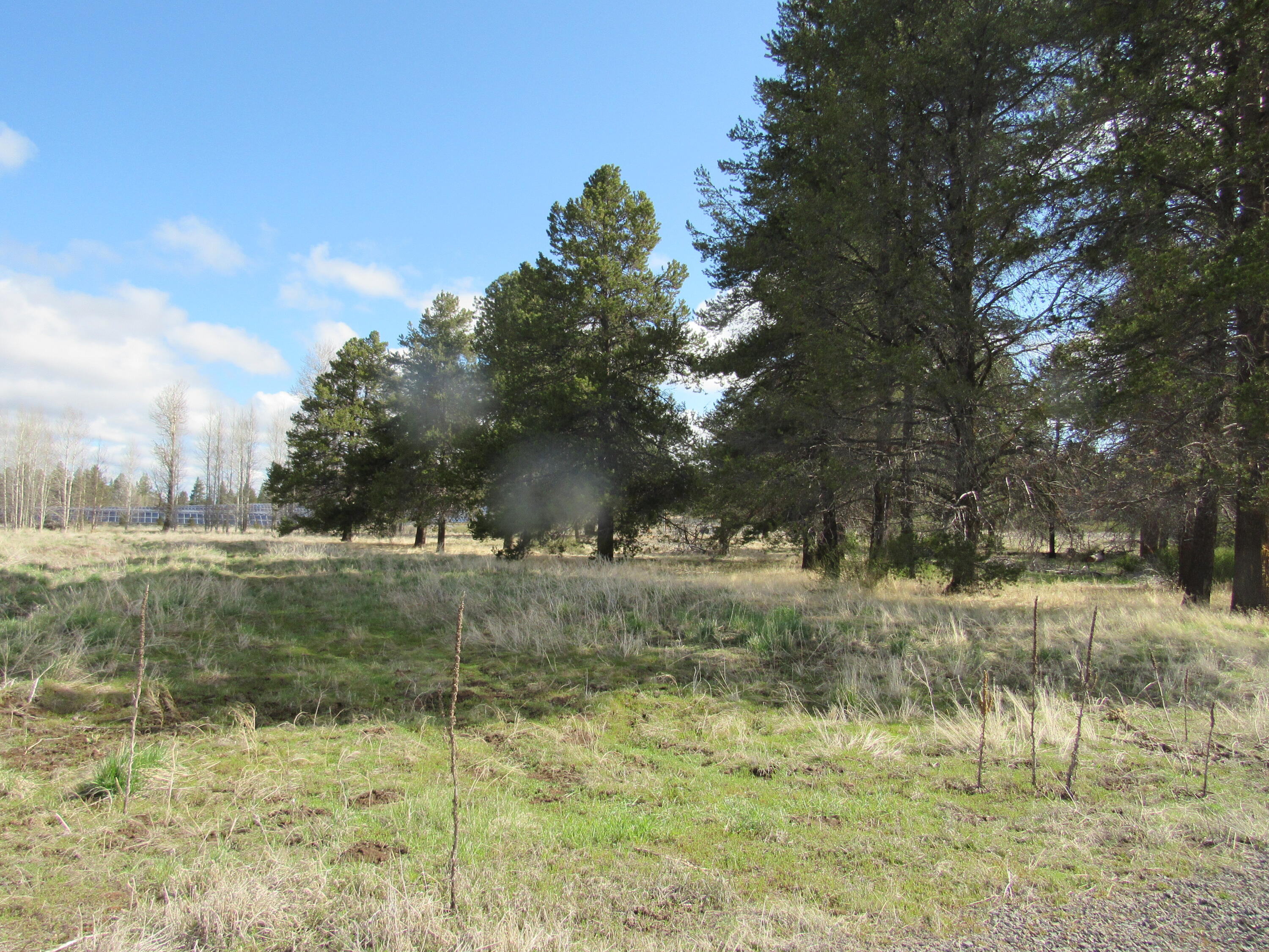 Pine Ridge Ranches - Land