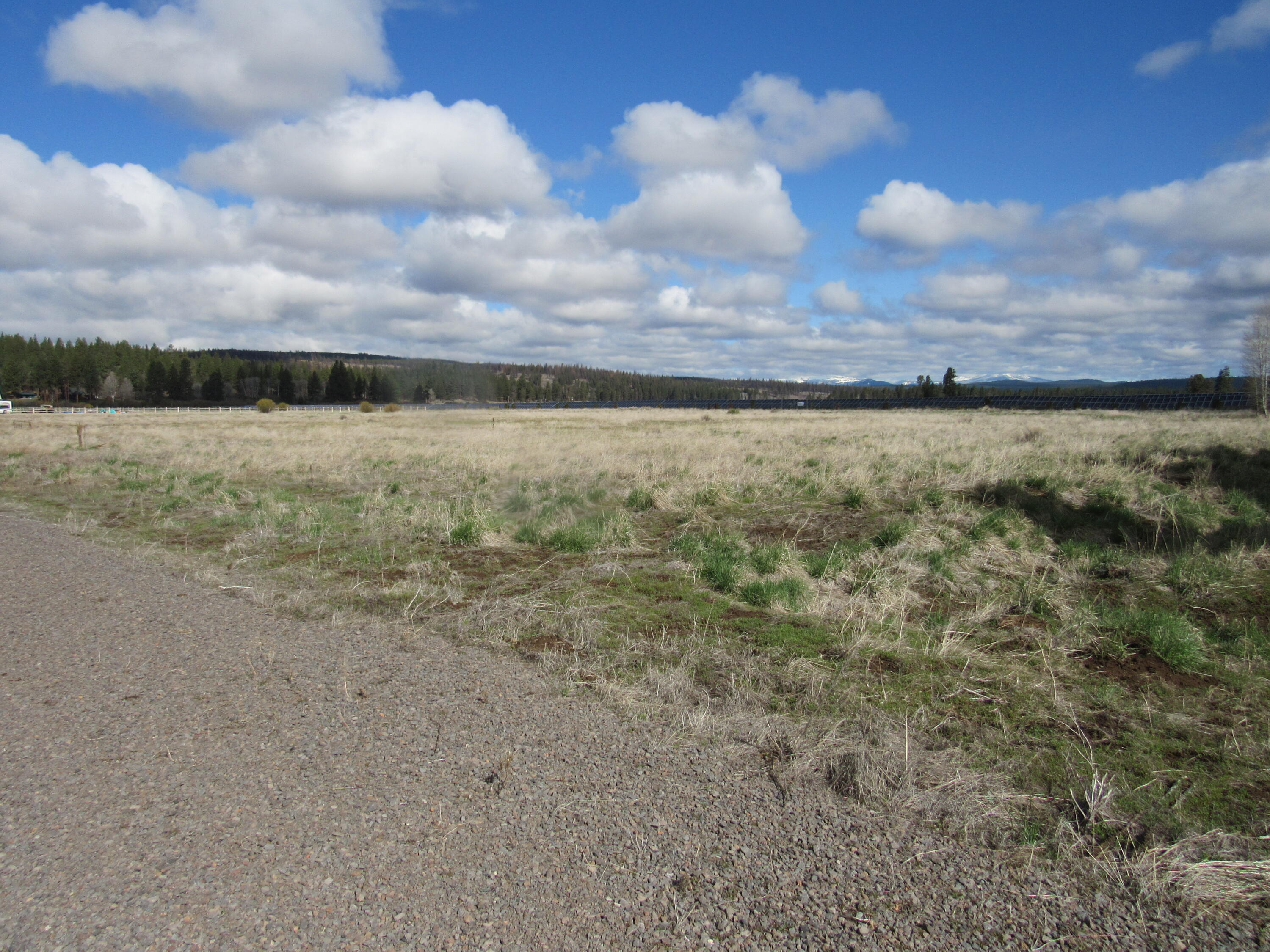 Pine Ridge Ranches - Land