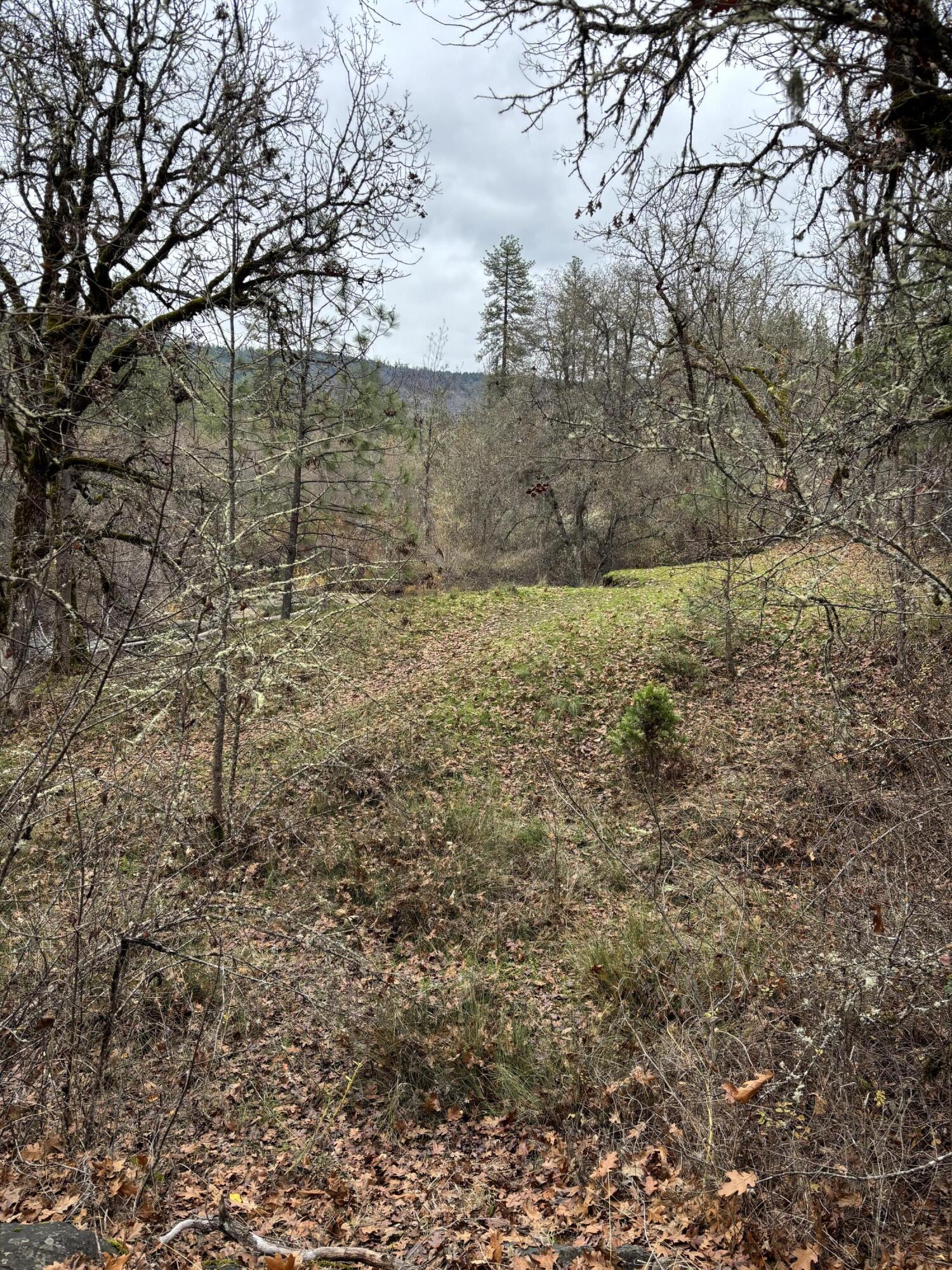 Adjacent to the beautiful and renowned Crowfoot Falls, this small parcel offers a chance to own a piece of scenic Southern Oregon at a low cost. Picturesque views of Big Butte Creek and falls which flow into the Rogue River. Appears that the parcel is not likely to qualify for homesite approval, however, as per the County, a self-contained RV can be placed on the property for 3 months in any 12 month period. Buyer to do due diligence as to all aspects and uses of the land including access to Big Butte Creek.