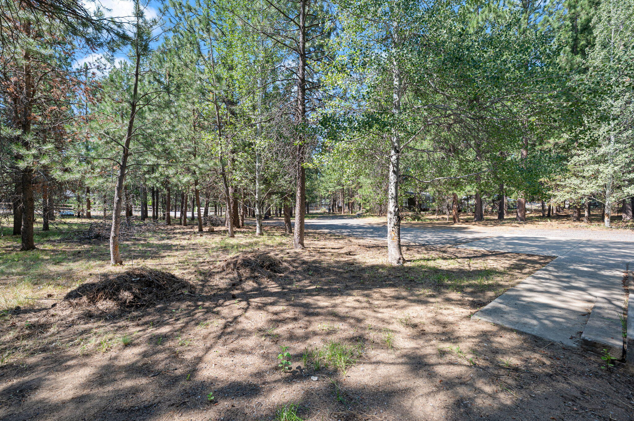 Tall Pines - Residential