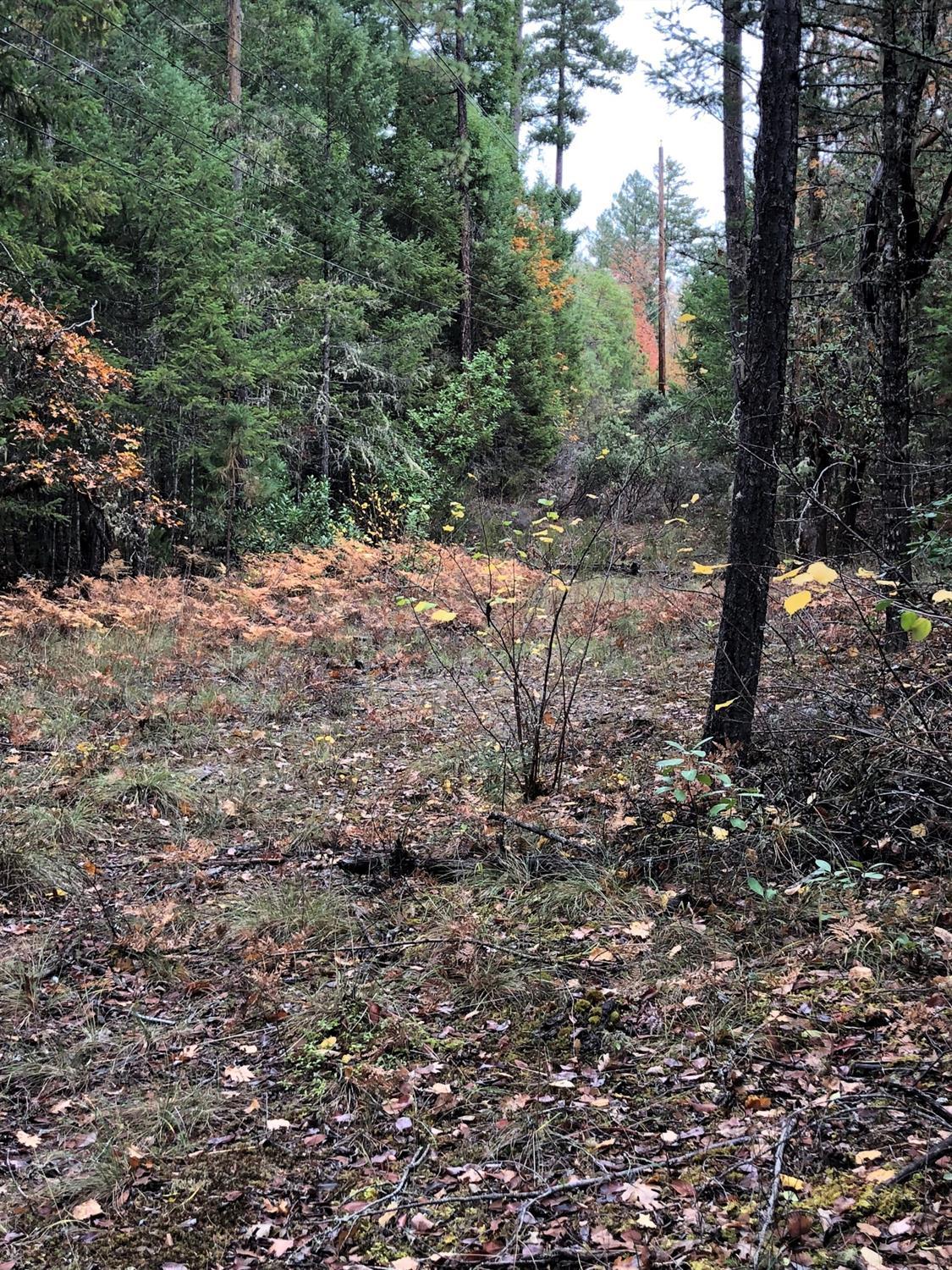 The kind of big vacant forested land within easy reach of Grants Pass that makes this area such a great place to live. Plenty of space to spread out over the 20 acres, with abundant privacy. Good all weather private road access. All information is deemed reliable but not verified; anyone considering purchasing this property should perform their own investigation into the uses and condition of the property.