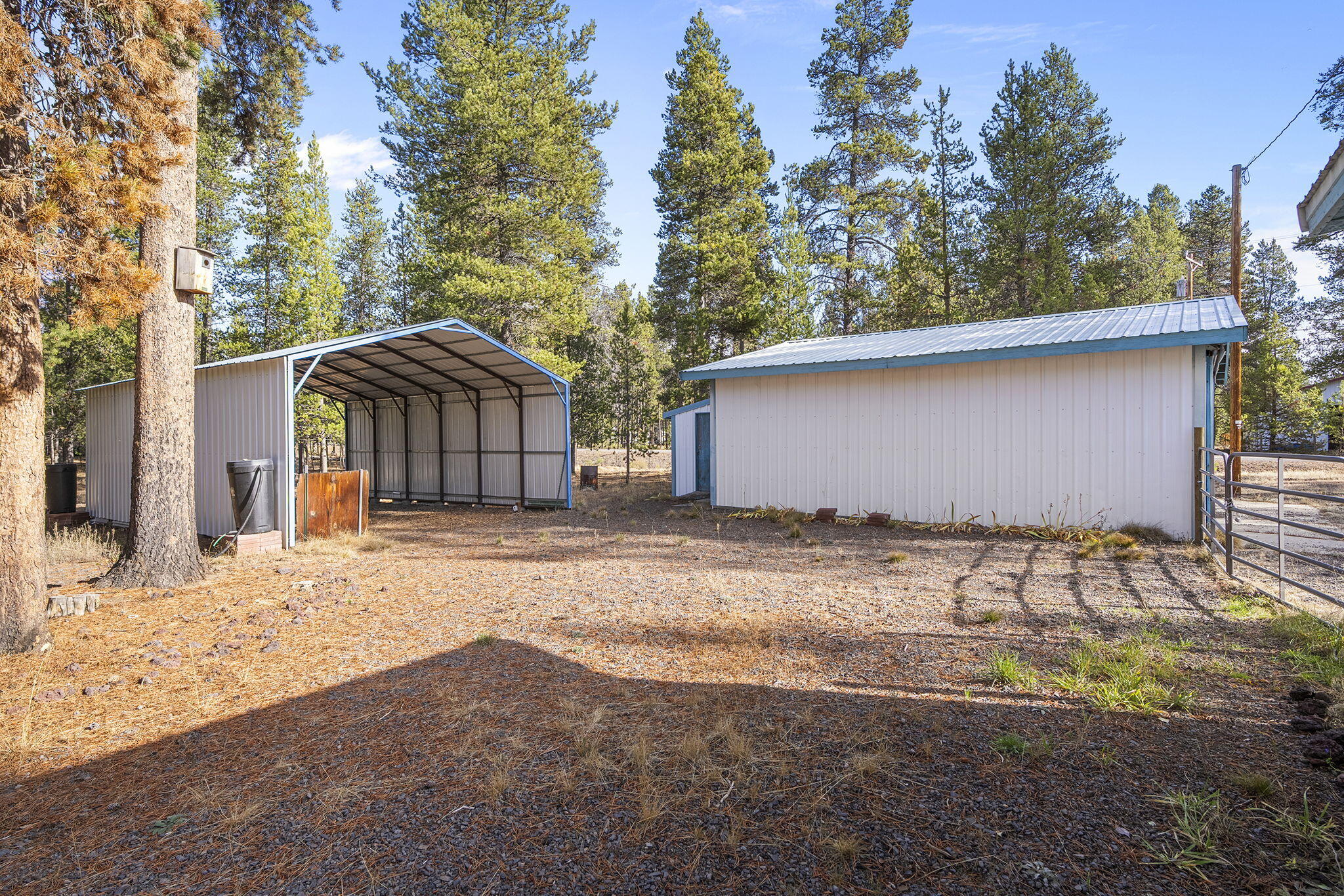 Tall Pines - Residential