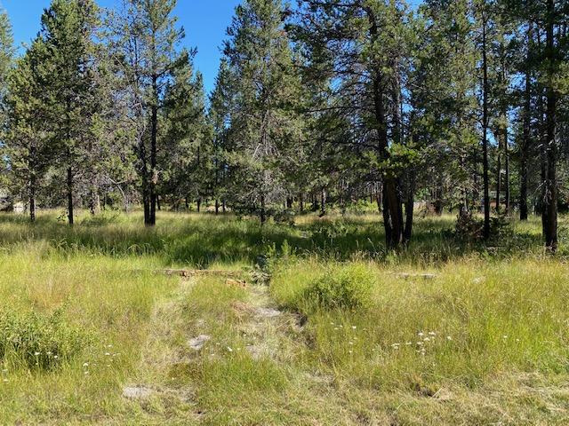 Come see what Central Oregon has to offer. Close to the Big Deschutes River, High Cascade Lakes Highway, Mt. Bachelor, and Sunriver. Mature trees, level lot, paved road, community water. Oregon Water Wonderland has been established for many years. New homes built in this area.