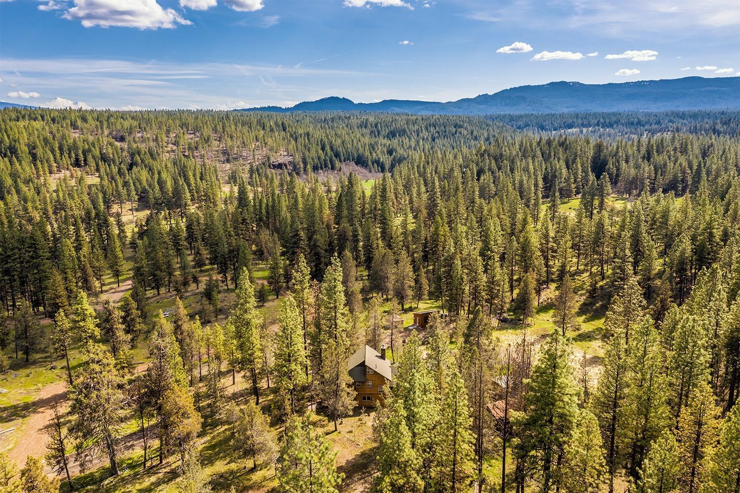 Do you desire to live close to the land with complete privacy, while being part of a supportive community? This exceptional 40-acre property with 6.6 acres of irrigation rights & southern exposure is on beautiful year-round Jenny Creek. Located in the Greensprings, this wonderfully hospitable, active & artistic community is just east of Ashland. This is a gorgeous area known for its wildness of nature, pristine dense forests, open sunny pastures, rushing creeks & majestic mountains. The custom home was artistically expanded using native woods. A masonry heating structure made from soapstone & local Klamath brick was added that provides a gentle & sustaining heat. The home features a spacious great room, open double room kitchen with multiple dining areas, 3 bedrooms & an office. Outbuildings for artistic pursuits & guests. At last test well was 25 GPM. High speed Internet. Pinehurst School. Year-round recreational activities. Request copy of Seller letter on the home & community.