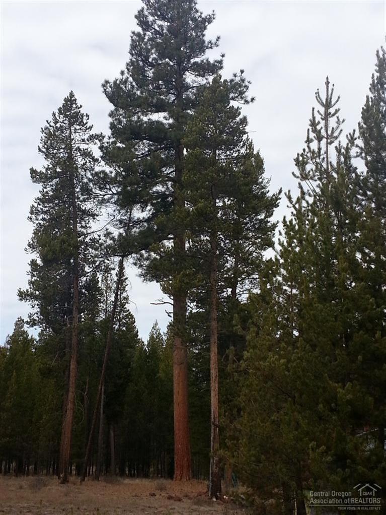 Nicely cleared with driveway already built in. Two storage structures/sheds included. Very clean building site secluded from the cul-de-sac. Several gorgeous mature Ponderosas on site. Would make a very nice private home site. Has a very private feel. Nice lot !