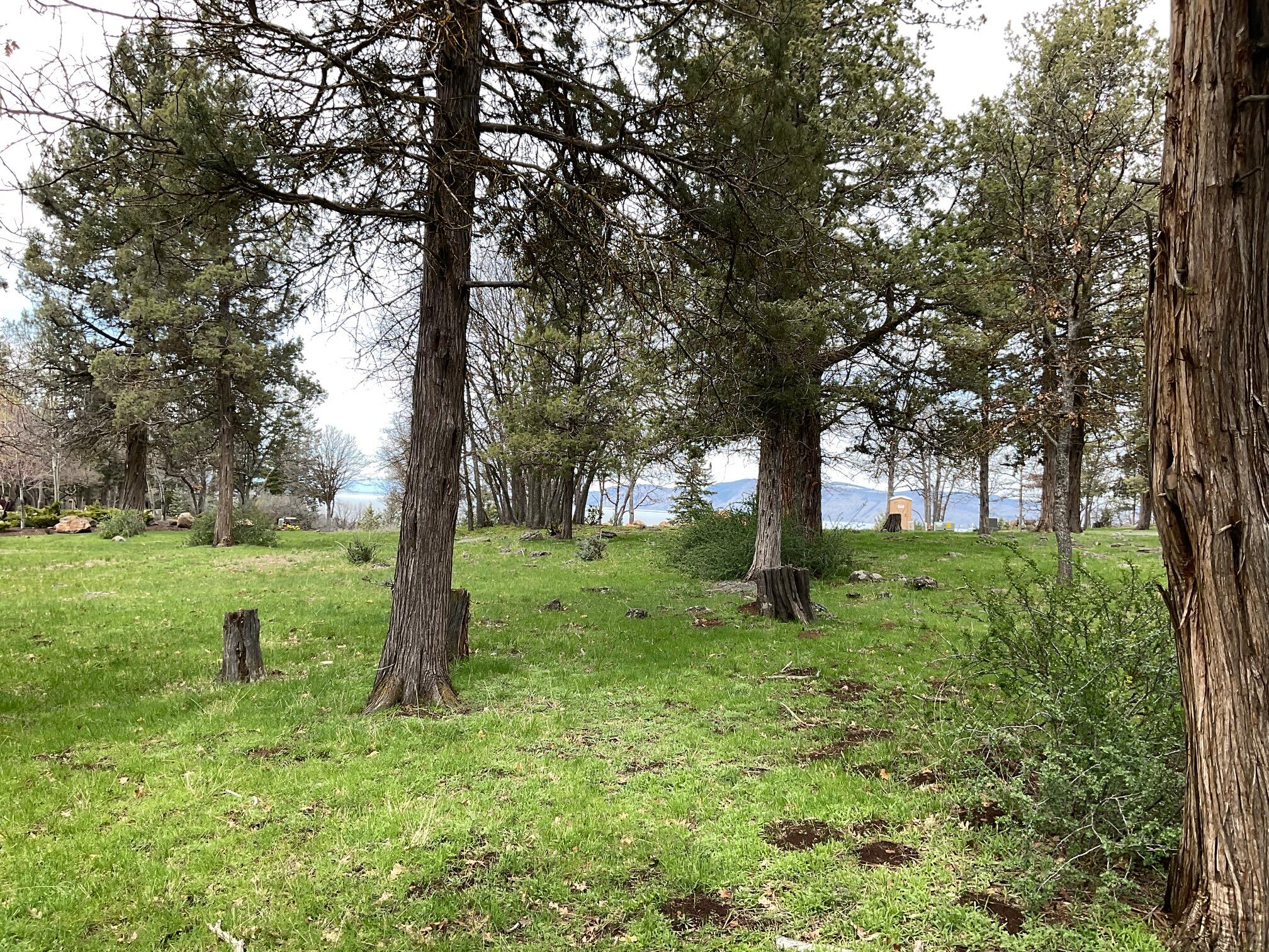 Running YResort - Land