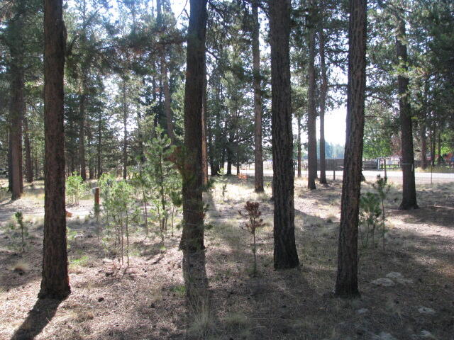 Anderson Acres - Land