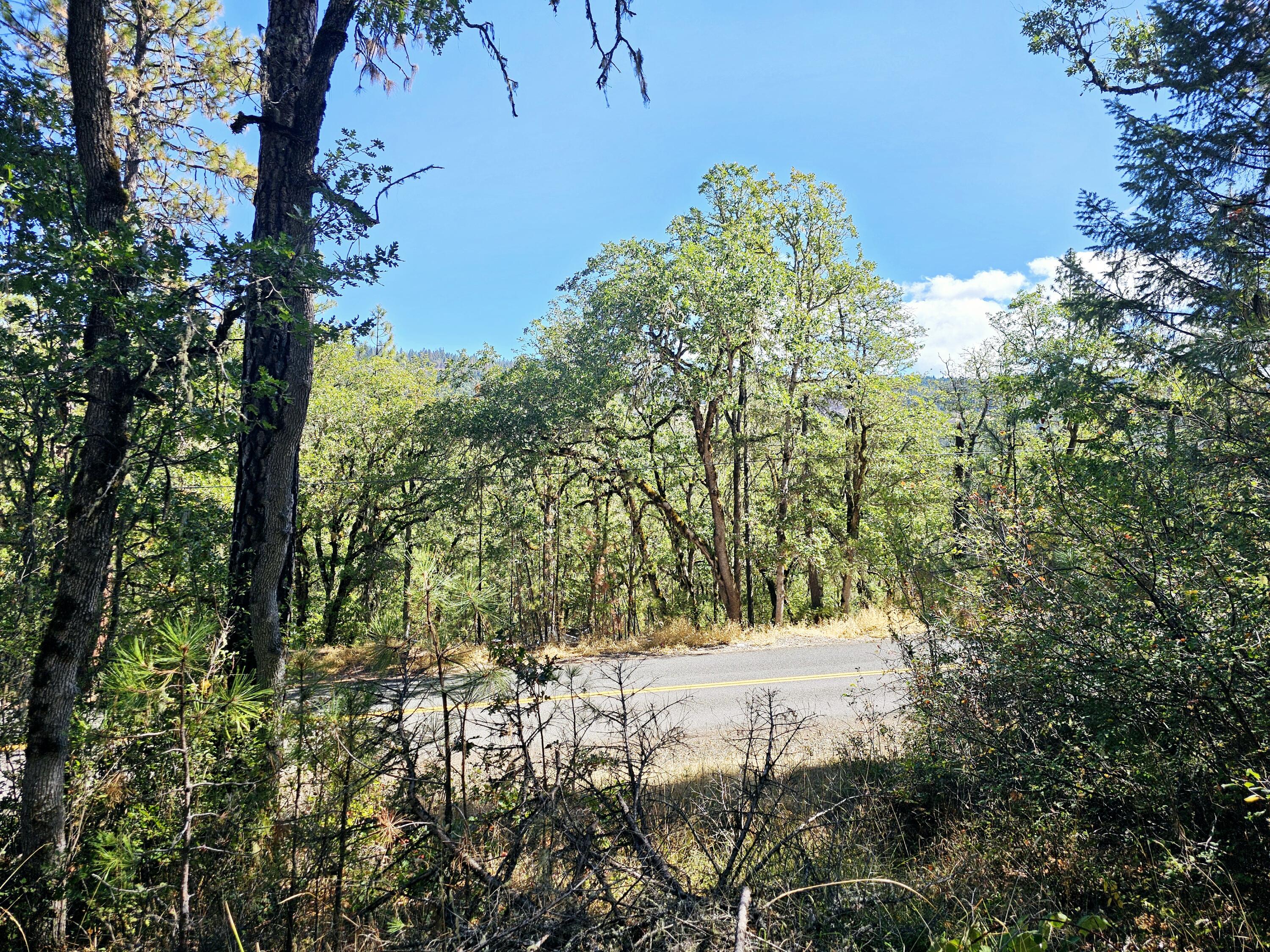 Build your home on this .44 acre lot that's backs up to BLM. Gorgeous views of the surrounding mountains. Per seller property does not have a well, however, a suitable well location has been identified with a local company. A septic system needs to be replaced/installed, and homesite has been applied and approved with conditions. Bring your vision and check out this piece of land. Buyer to do their own due diligence and verify all aspects of the property including uses, zoning, approvals and building requirements.