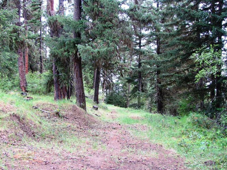Prime Timber property with mostly Doug Fir. Recent cruise shows over 1 million BF of Timber. There is a great old cabin built in 1965 with a number of out buildings. Great setup for hunting or just enjoying this income property. Off grid and set up with water holding tanks. Super investment!! Priced to sell.