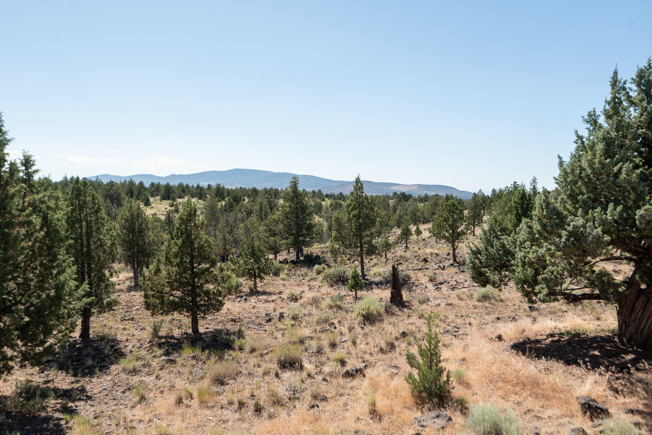Dry Creek Airpark - Residential