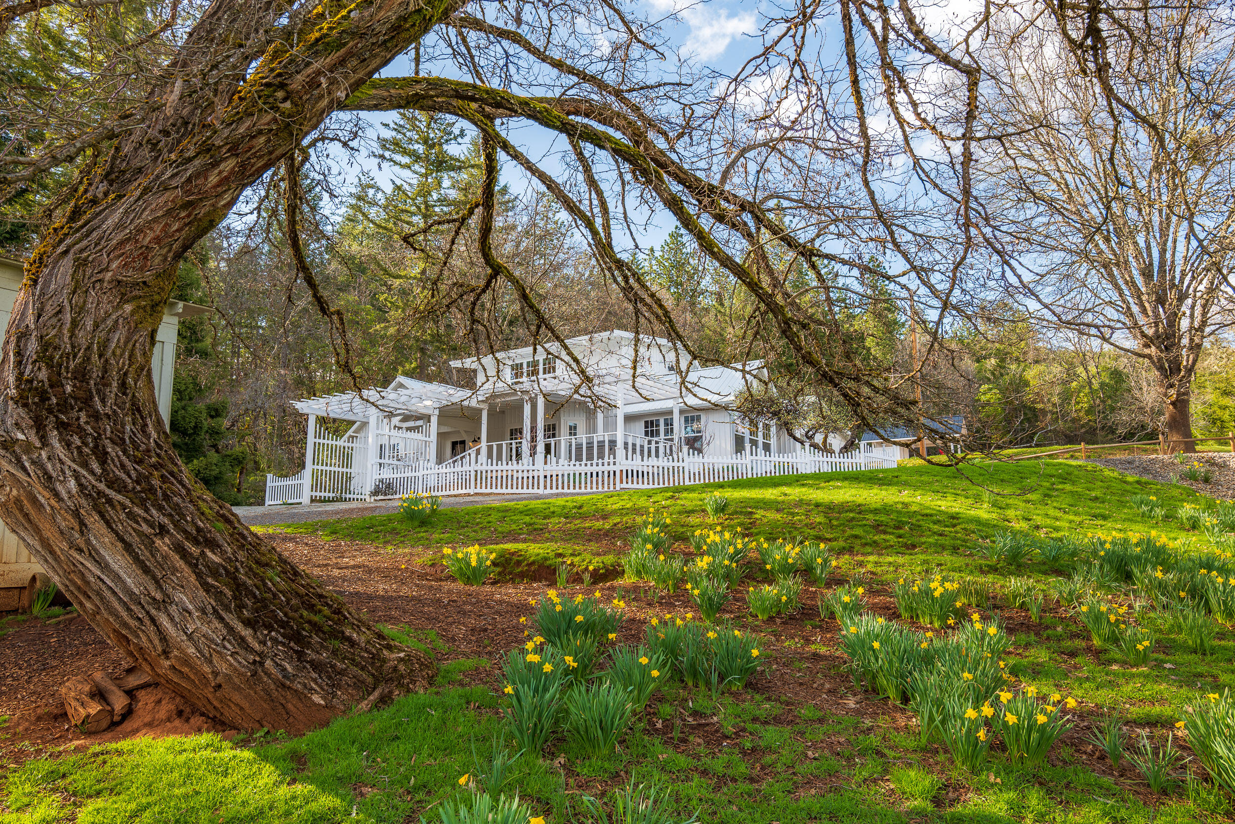 Welcome to the McKenzie Homestead Ranch, a turn-key property that boasts an updated home w/koi pond, guest cottage, heated pool w/bathroom, shop w/loft, pastures, spring-fed pond, 2nd building site, & more. Plus, this breathtaking setting offers big sky views, privacy, & lots of usable space. The main home welcomes you w/ farmhouse charm & character, & features 4 bedrooms, 3 bathrooms, kitchen, dining, living room, library/office, & laundry - all w/beautiful modern updates & views from nearly every window. Outside the home is extensive outdoor living spaces such as a courtyard, decks, patio, & gardens. The guest cottage features a kitchenette, full bath w/laundry, & bedroom loft - also full of charming & authentic farmhouse finishes. There are also 2 horse stalls, a machine shed, and a 2nd tax lot that provides for a 2nd homesite - already improved w/a high producing well, power extended, & installed septic. This is a truly unique opportunity to escape to the country!