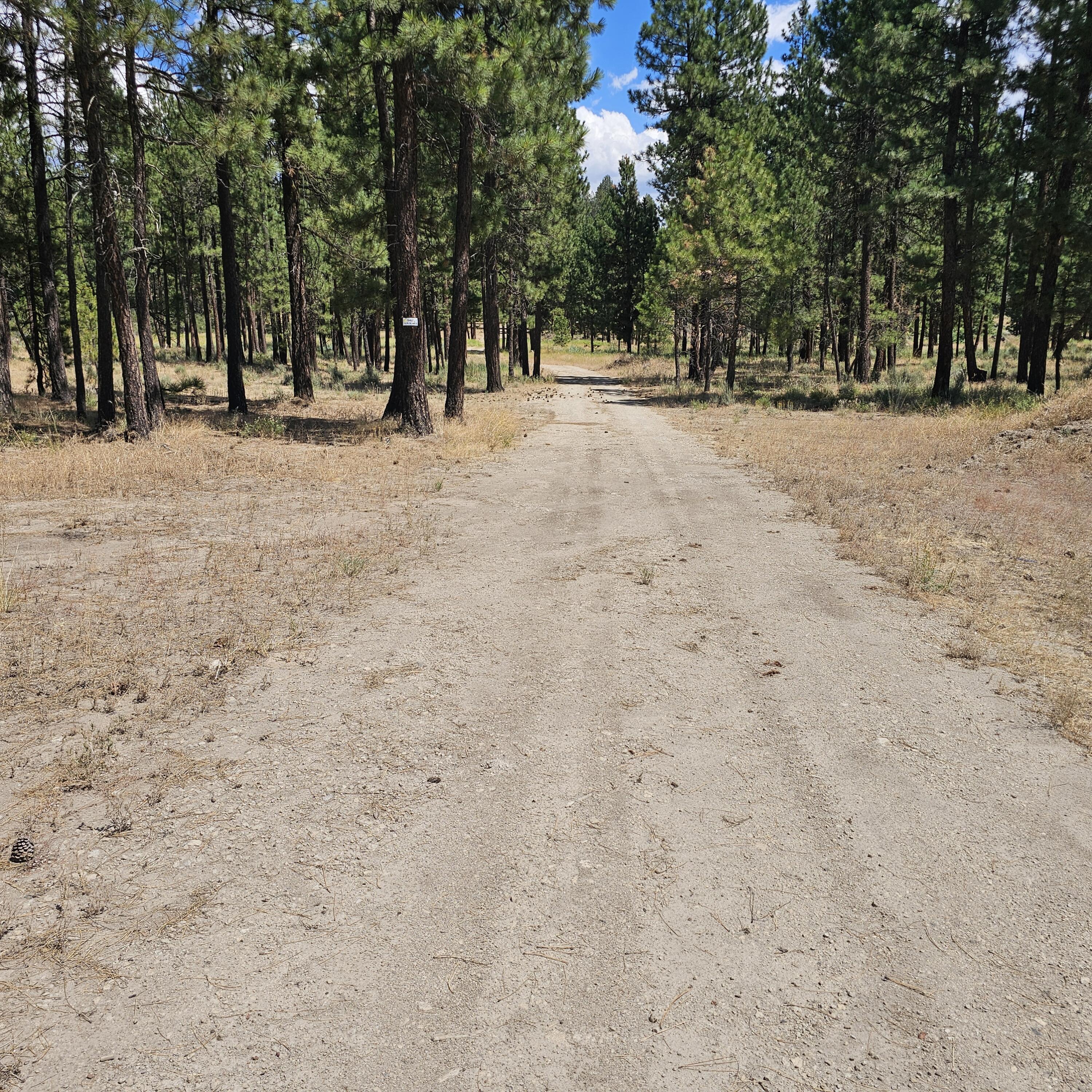 Tract 1110 - Residential