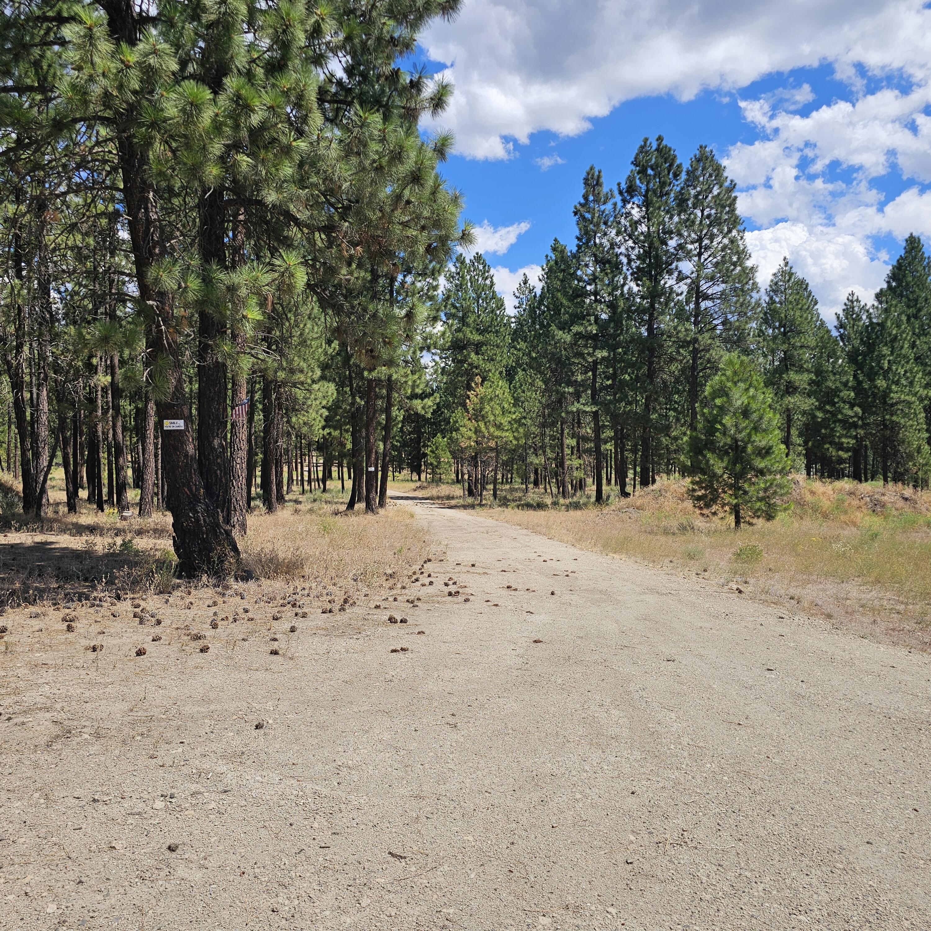 Tract 1110 - Residential