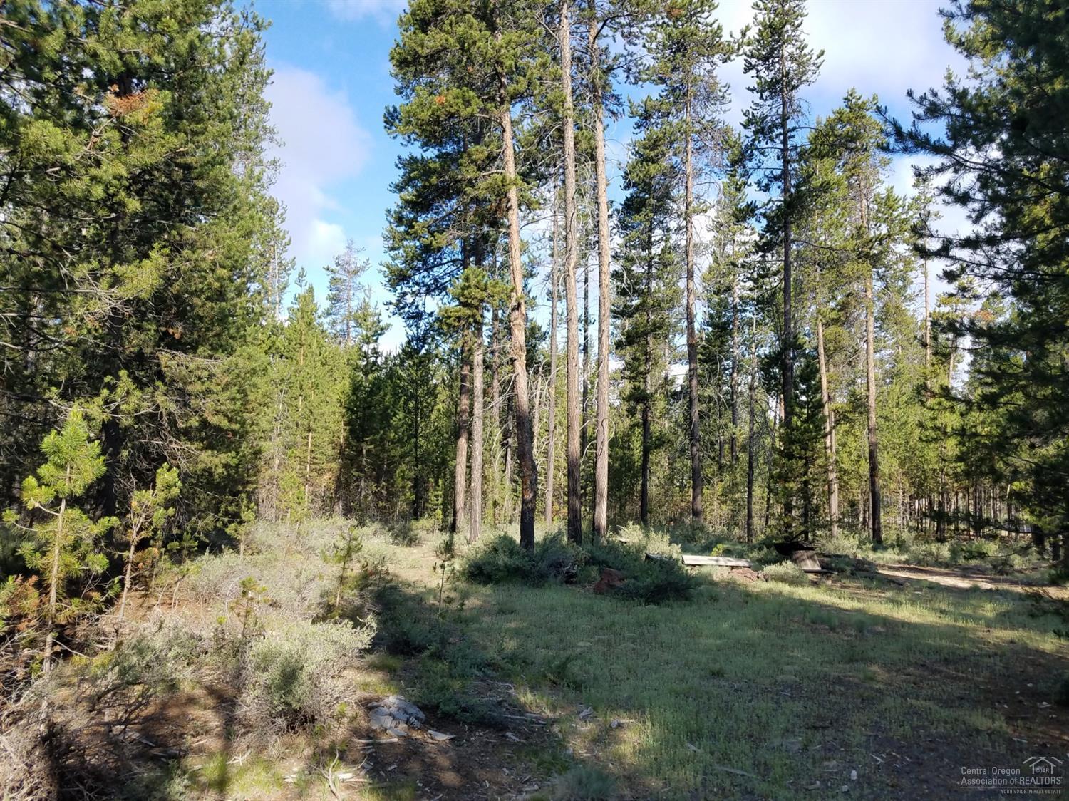 Woodland Park - Land