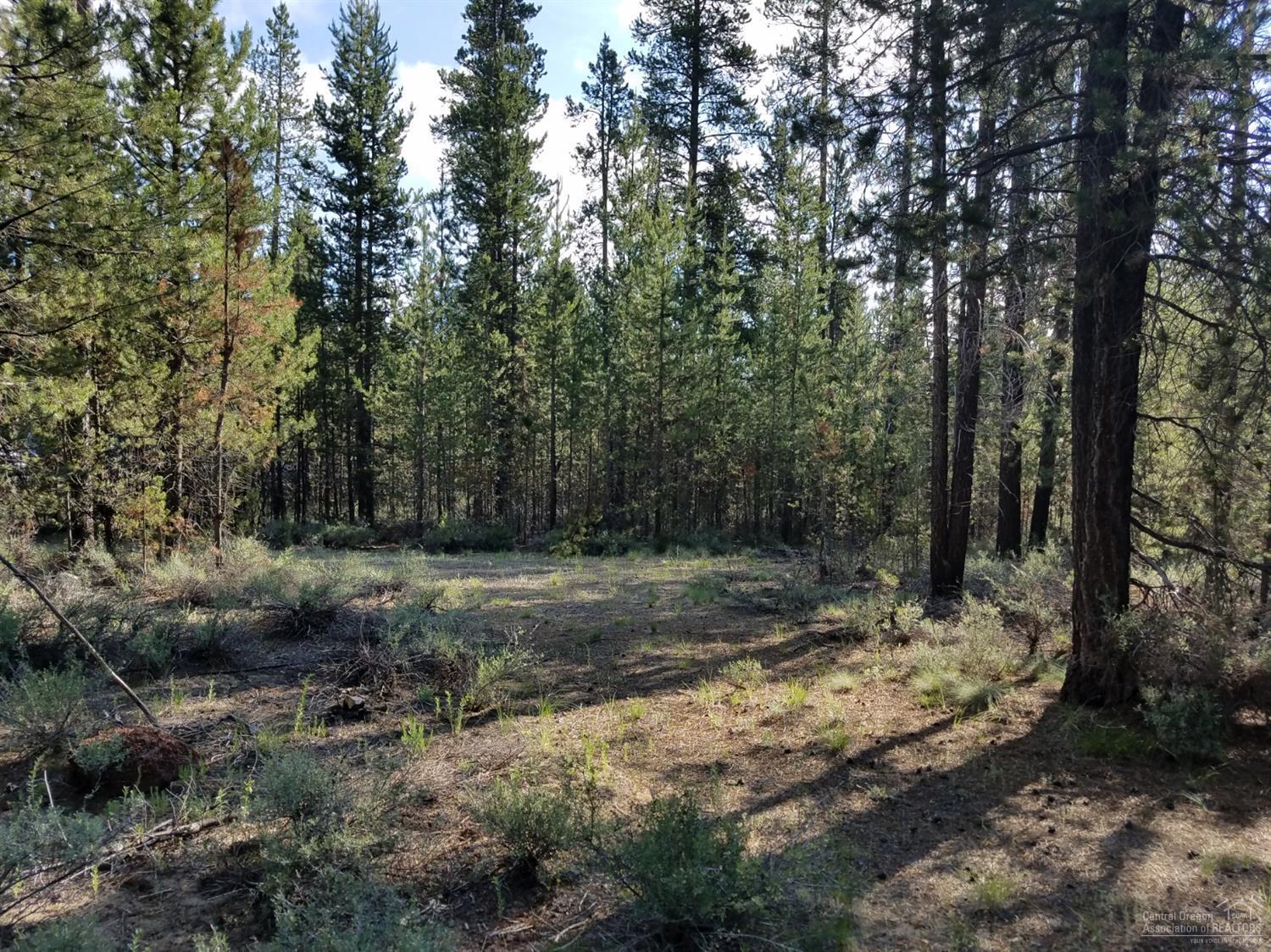 Woodland Park - Land