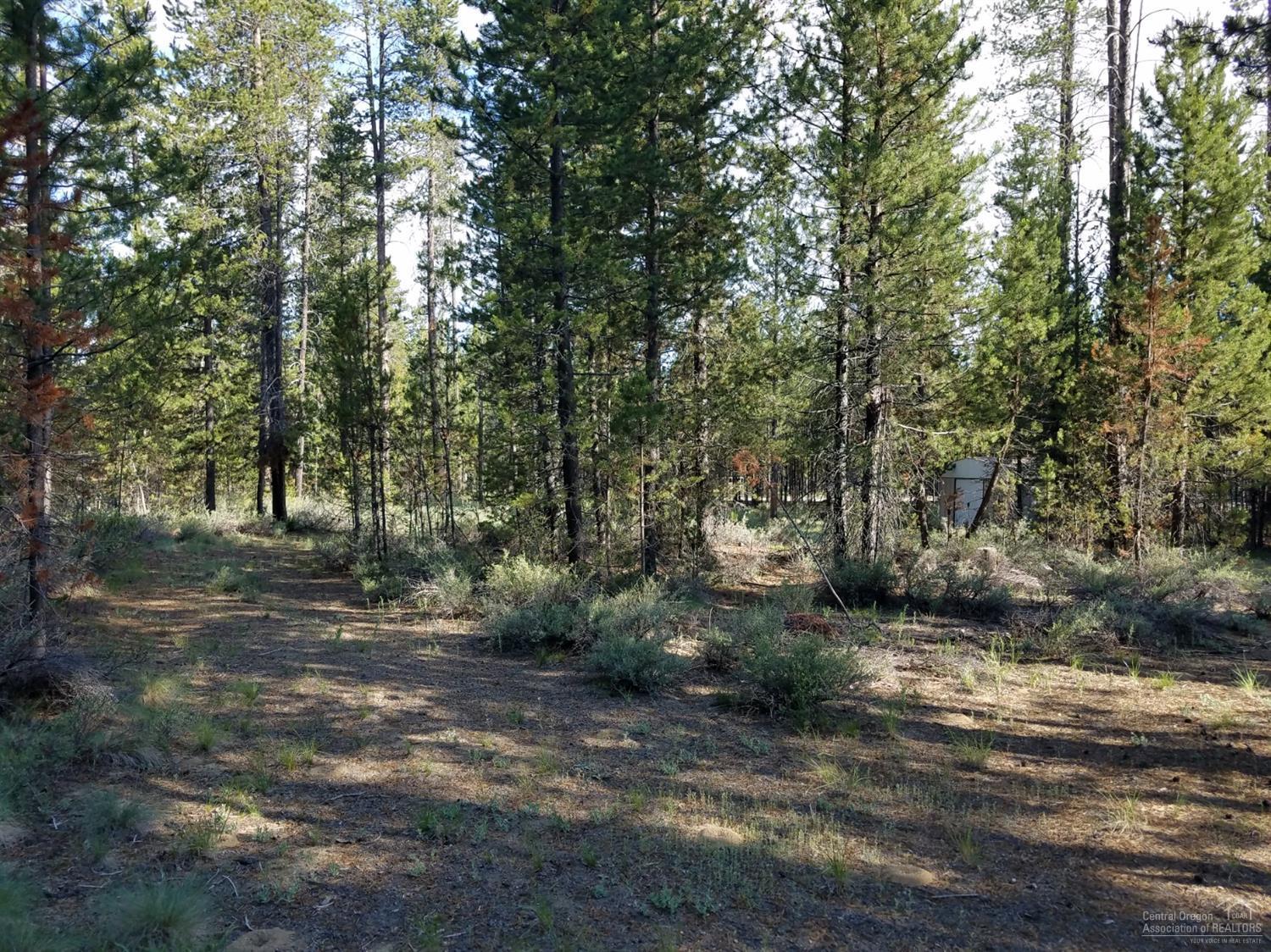 Woodland Park - Land