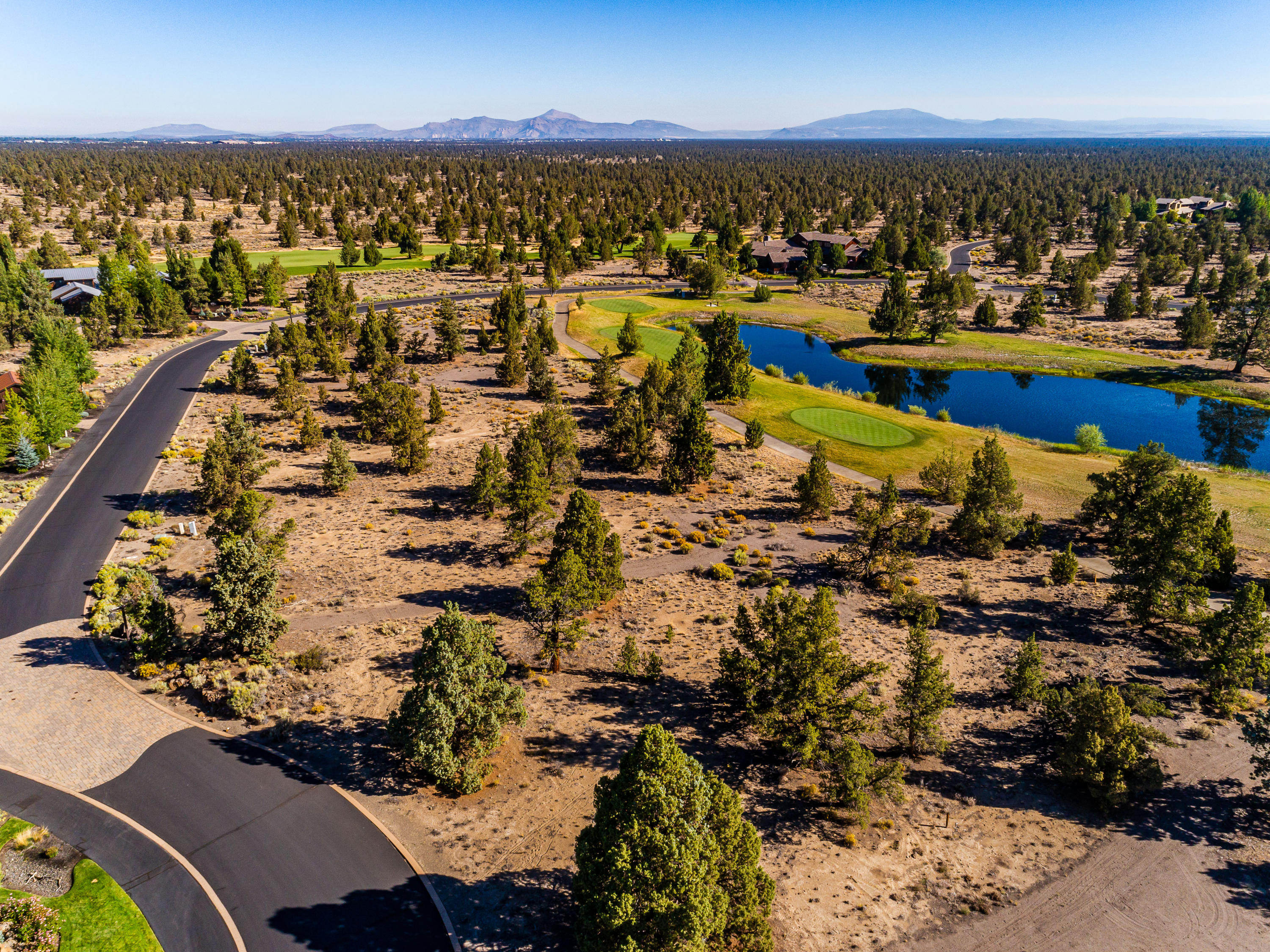 Pronghorn - Land